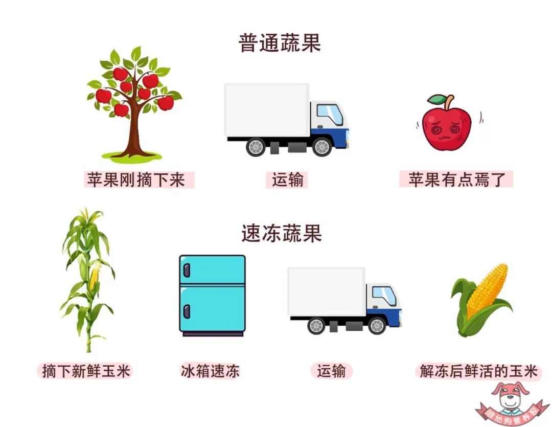蔬菜运输.jpg