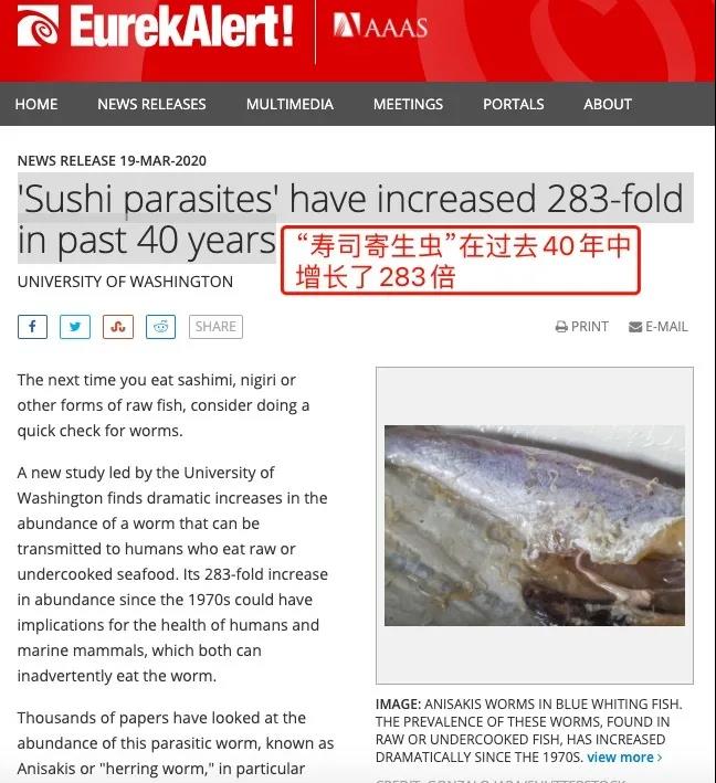 生鱼片.jpg