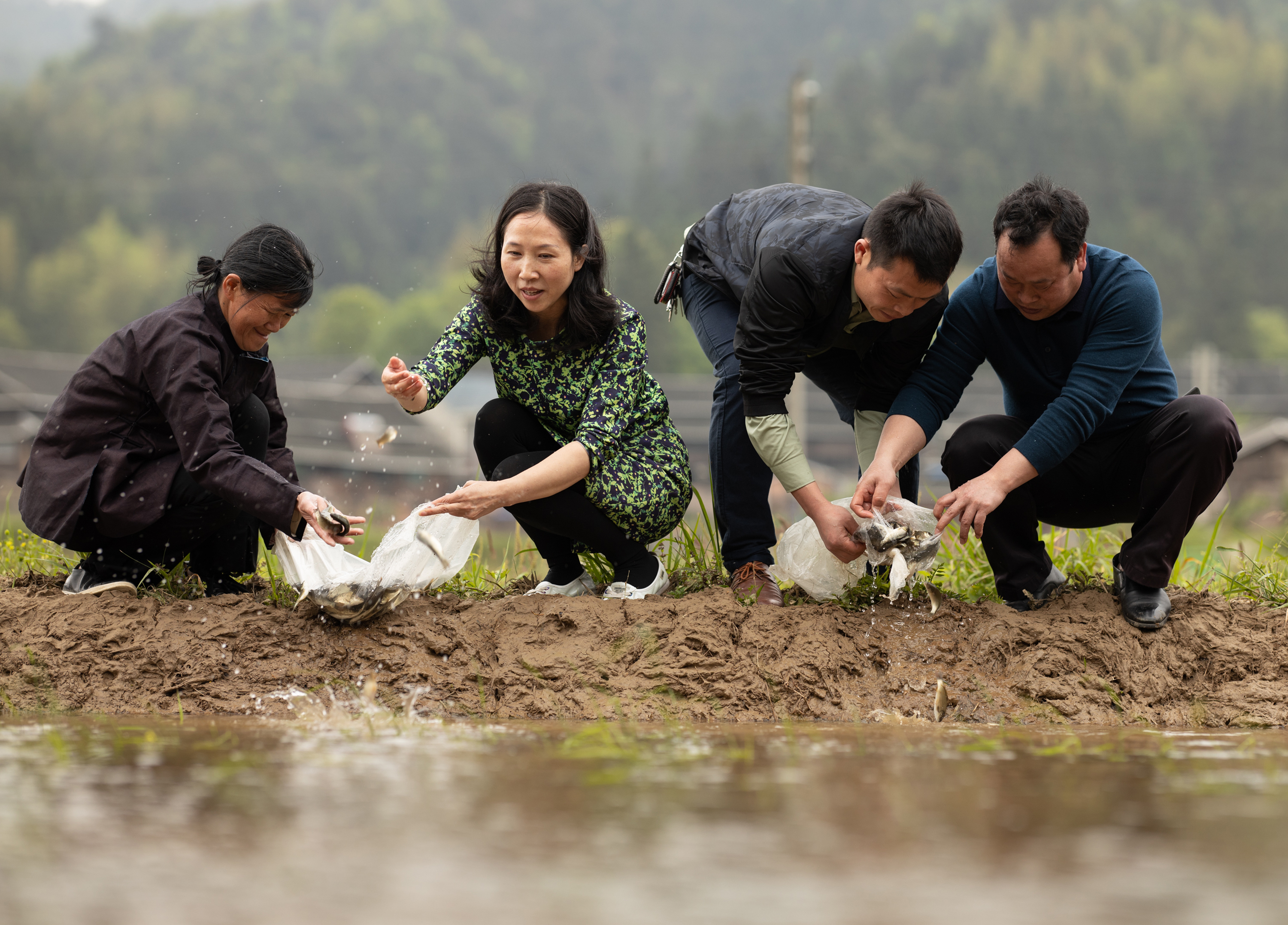 送鱼到田-10.jpg