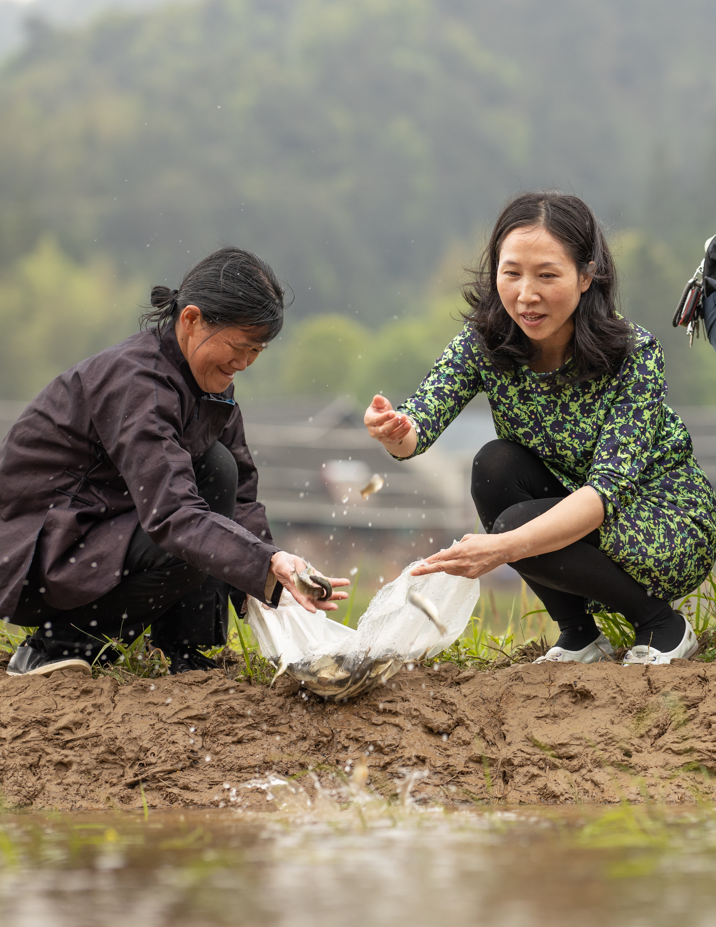 送鱼到田-222.jpg
