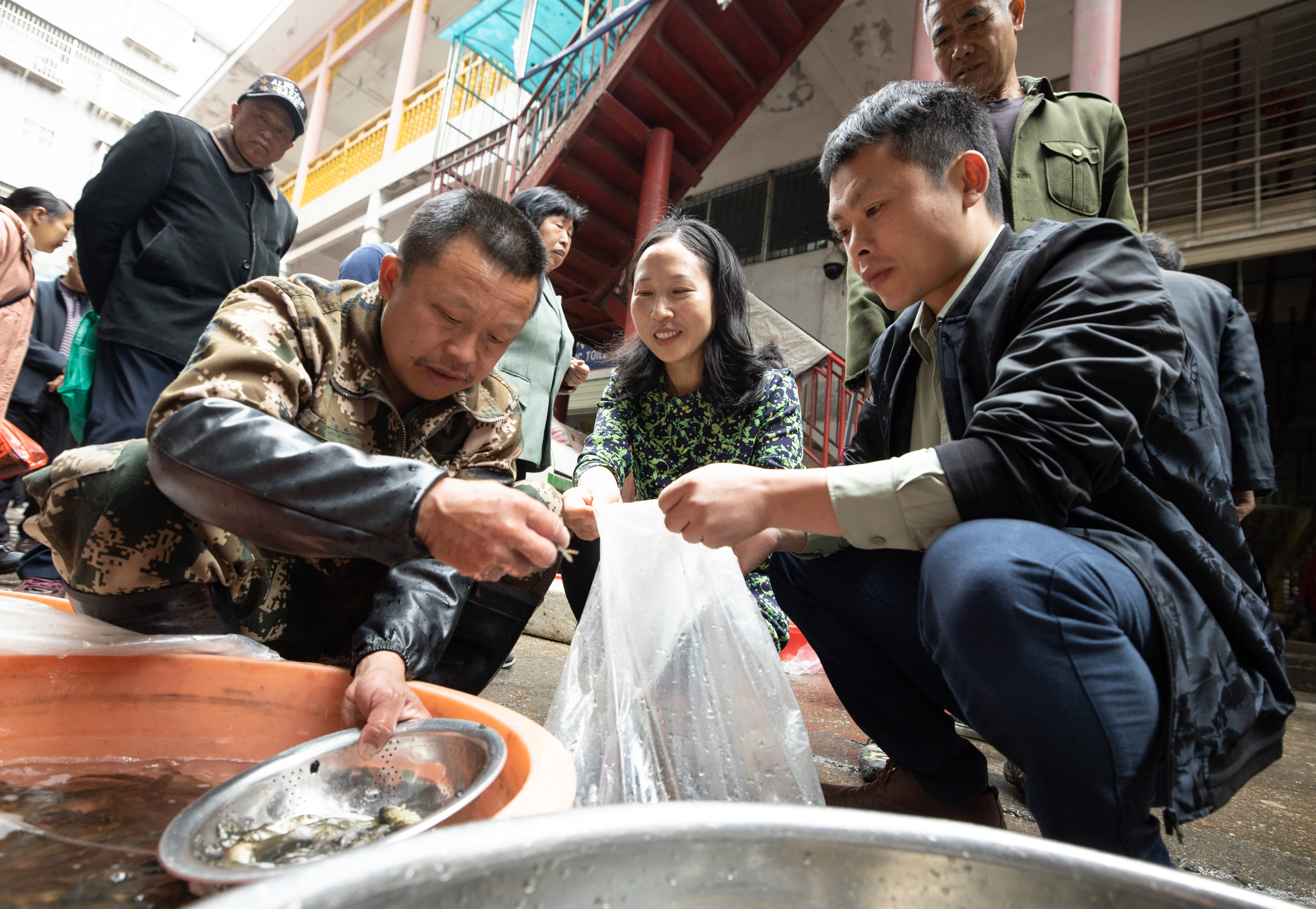 送鱼到田-2.jpg