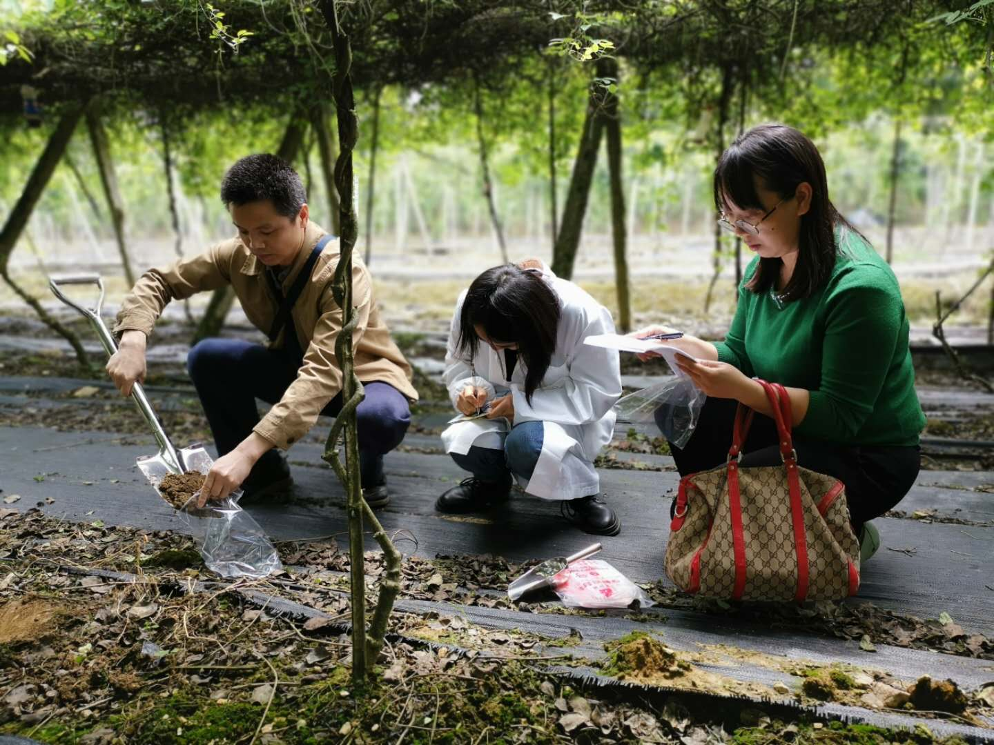 图为：现场取土测样.png