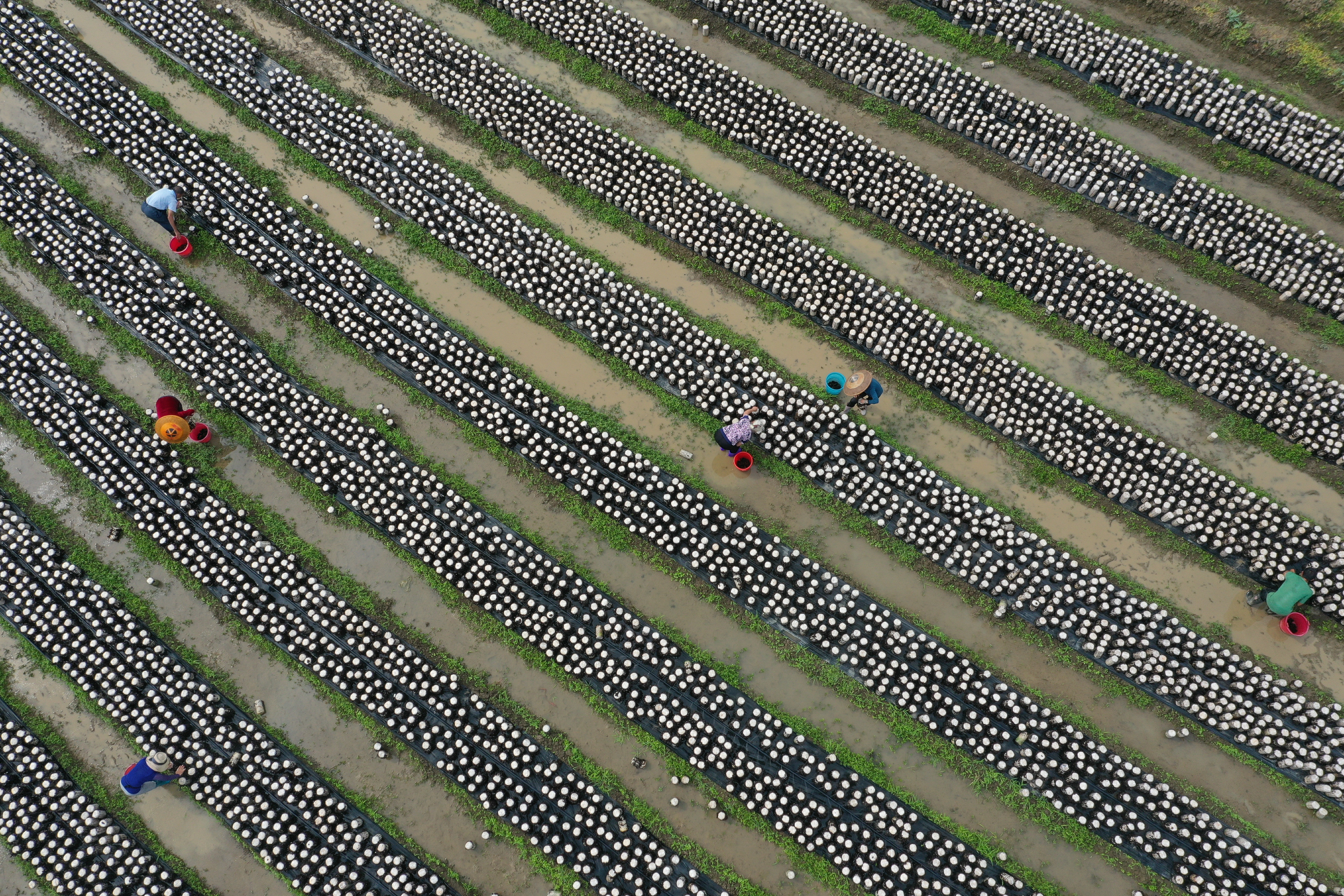 DJI_0978.jpg