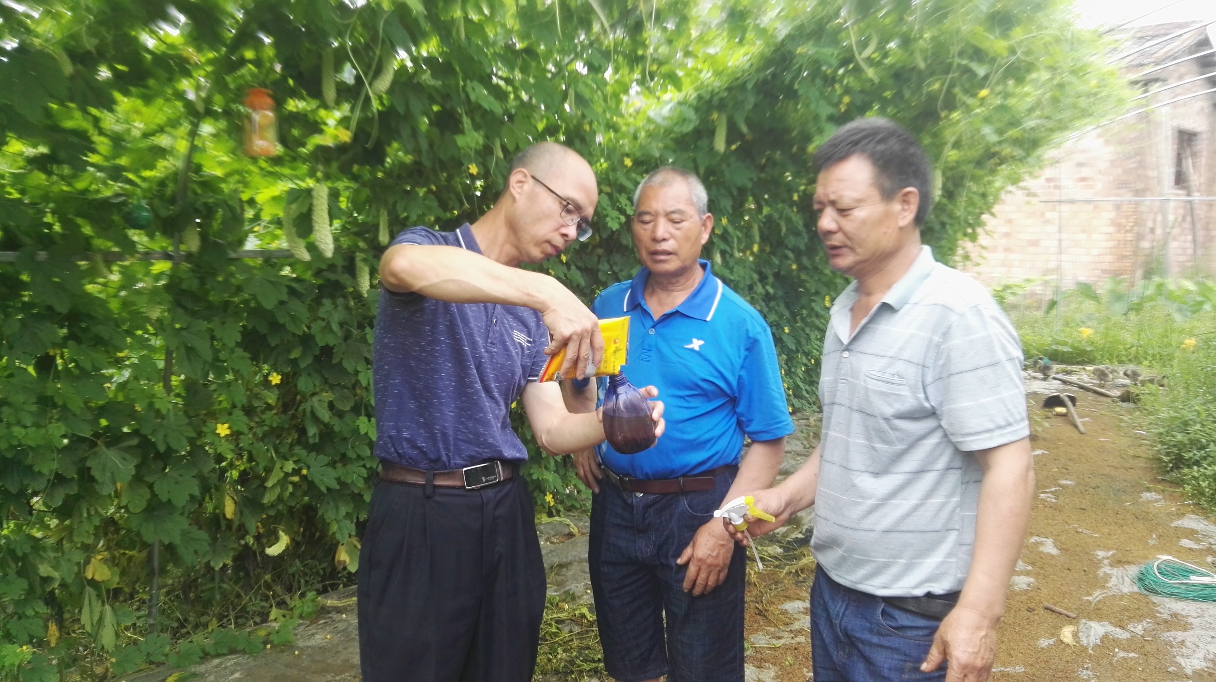 高级农艺师胡冬炎（左一）指导食诱剂配制.jpg