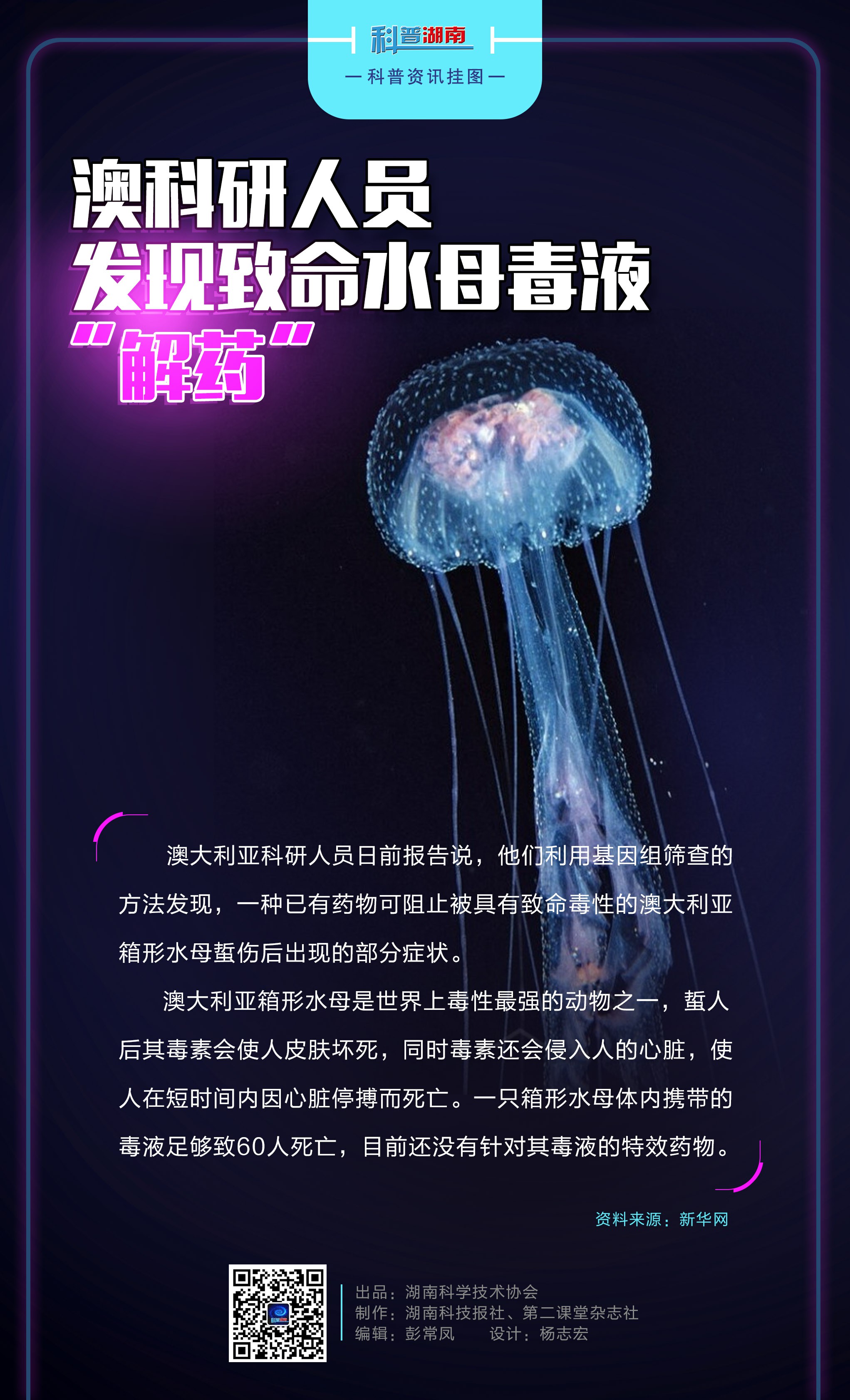 澳科研人员发现致命水母毒液“解药”A.jpg