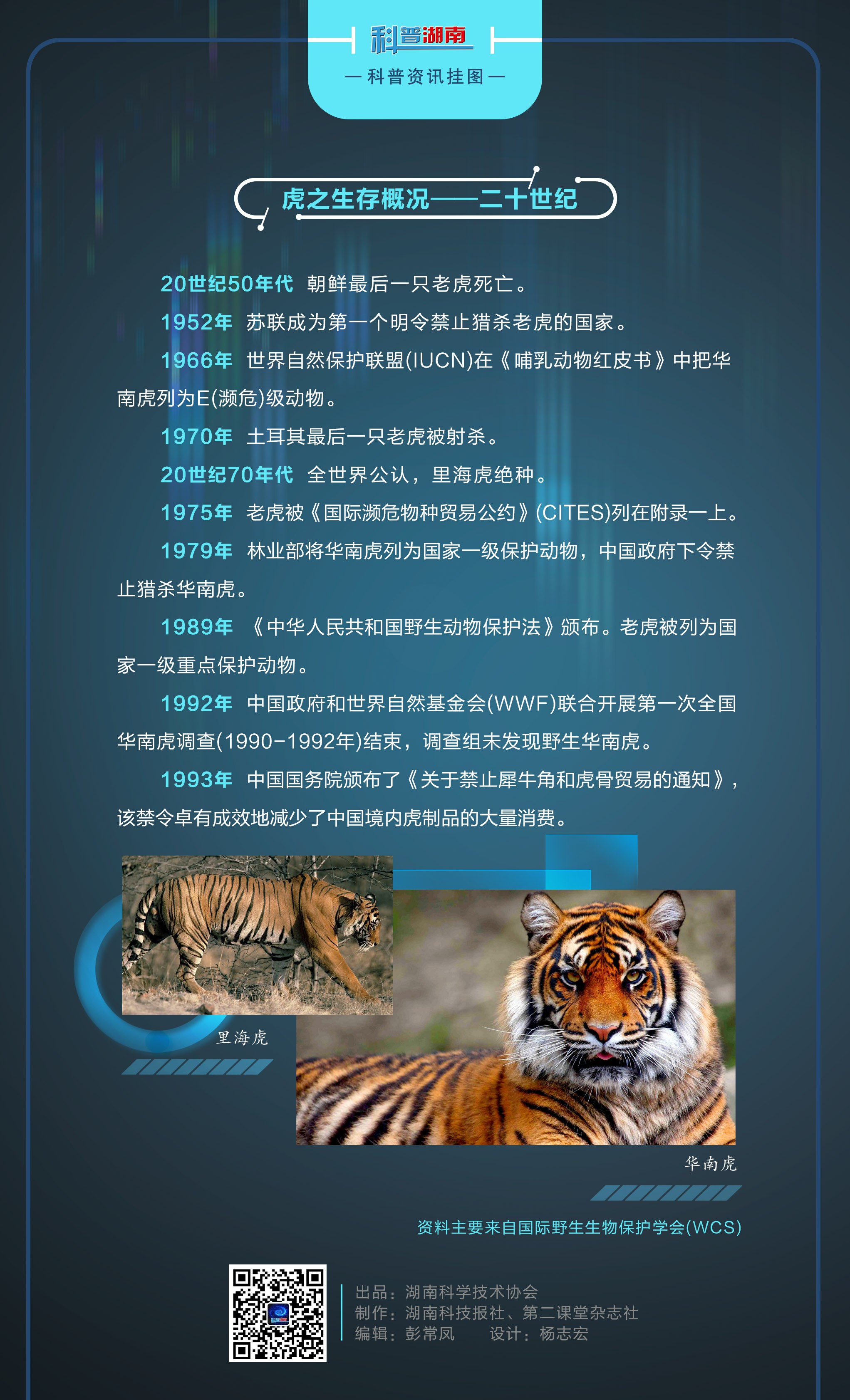 虎之生存概况C.jpg
