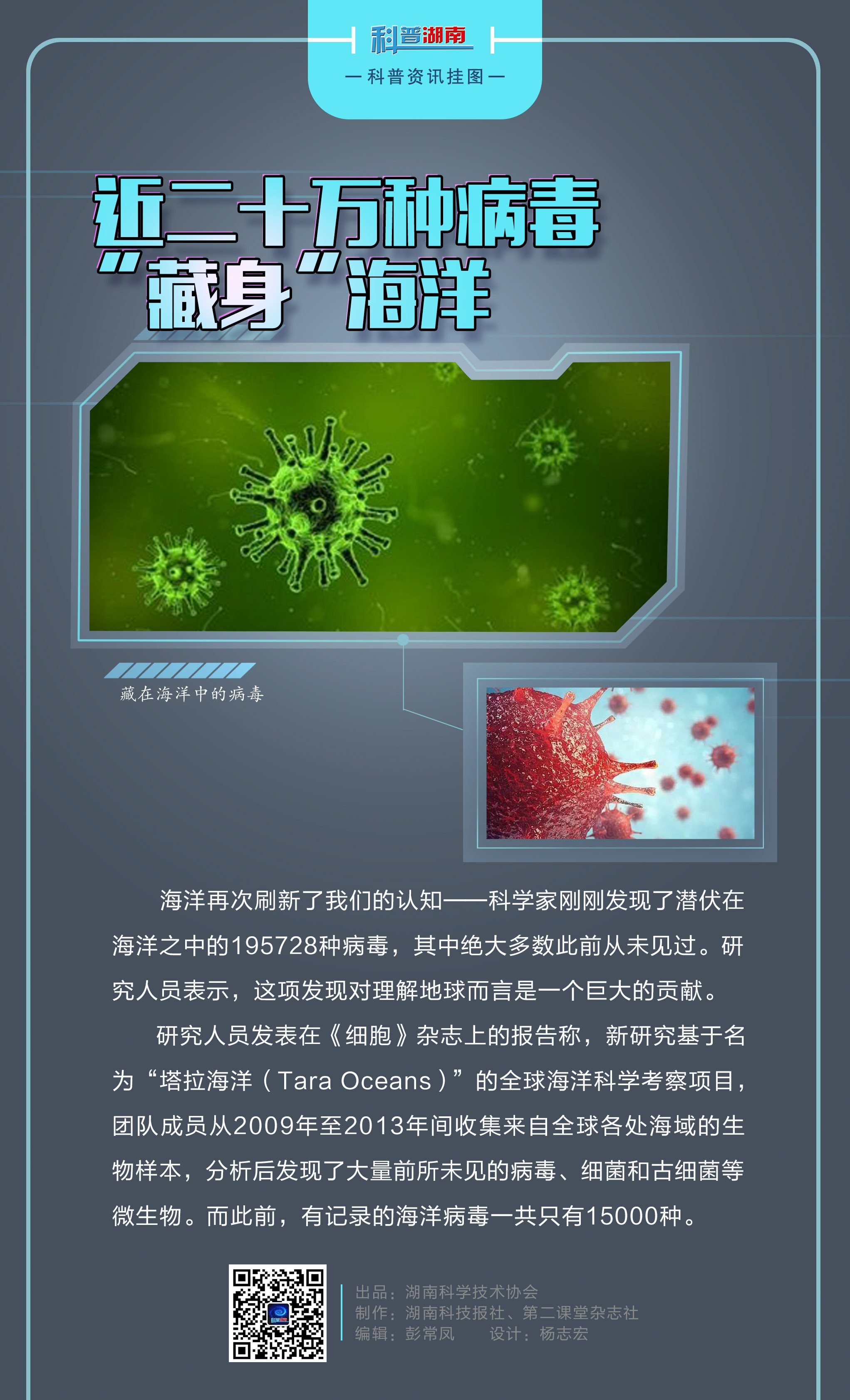 近二十万种病毒“藏身”海洋A.jpg