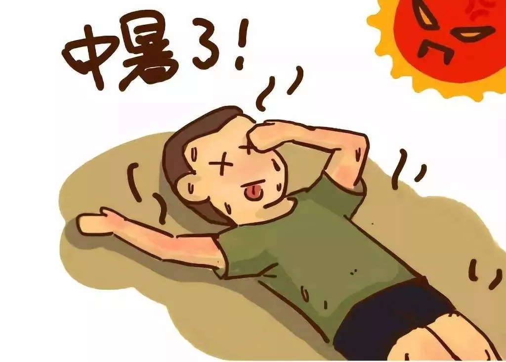 201981685834.jpg
