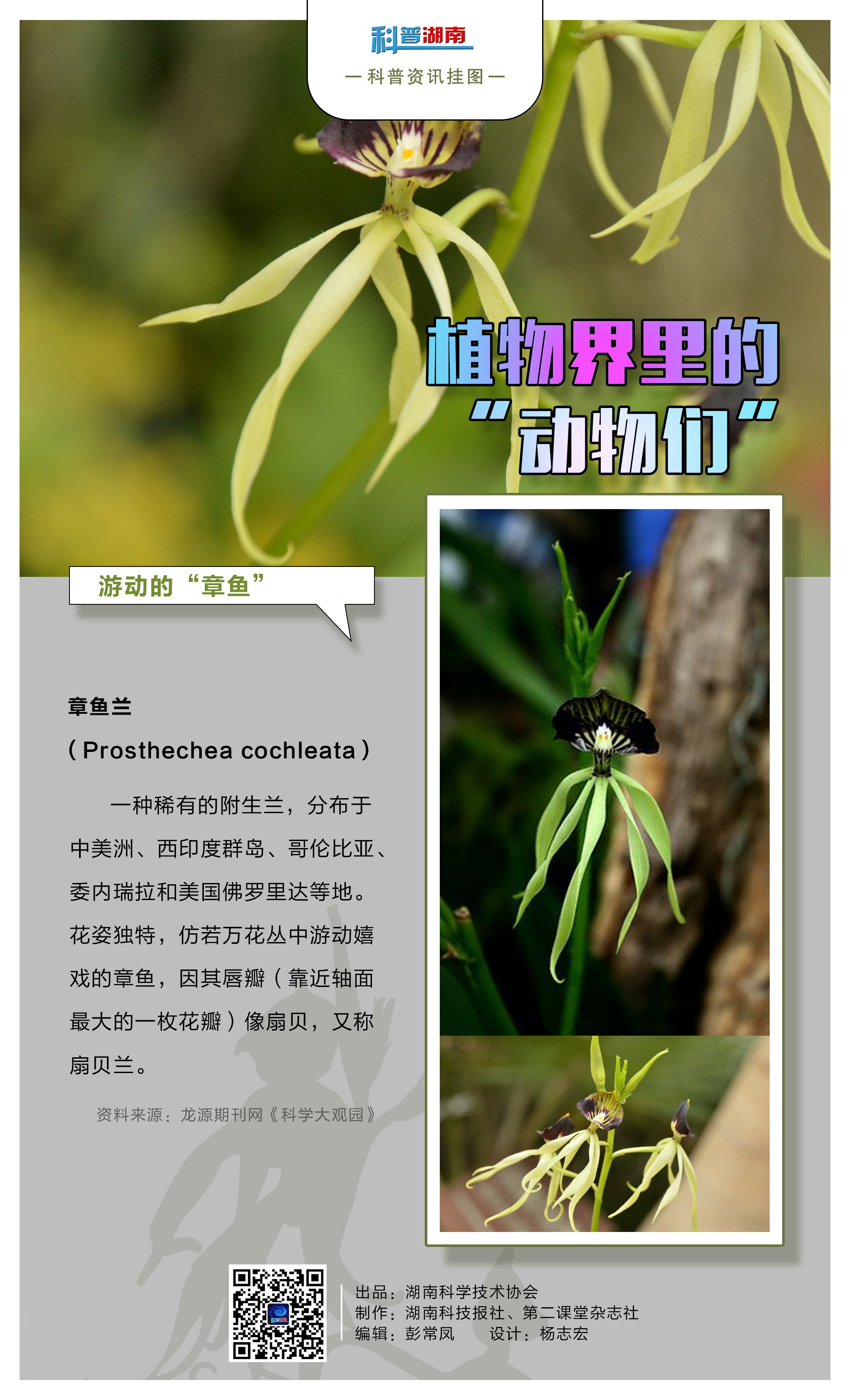 植物界里的“动物们”A.jpg