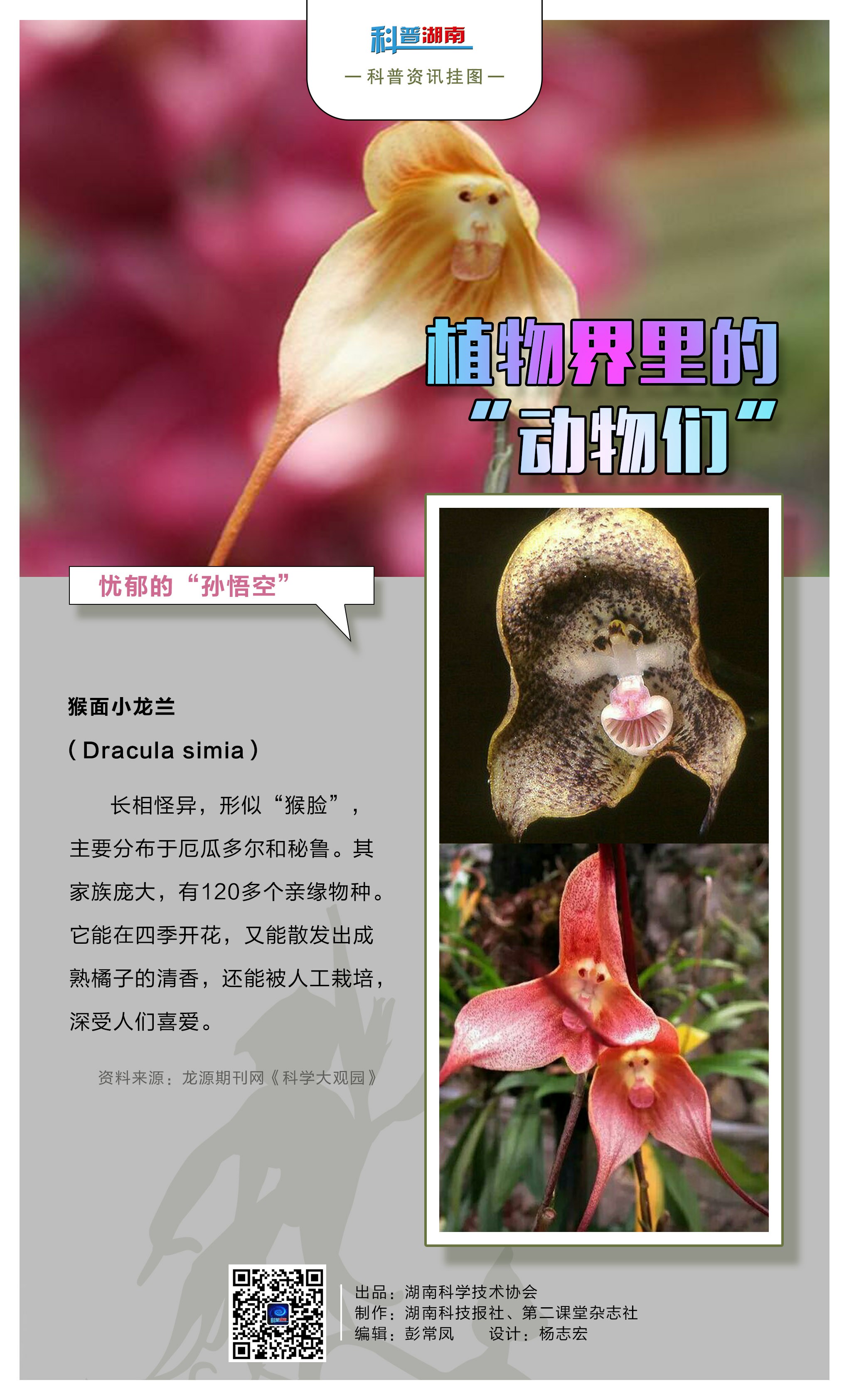 植物界里的“动物们”B.jpg