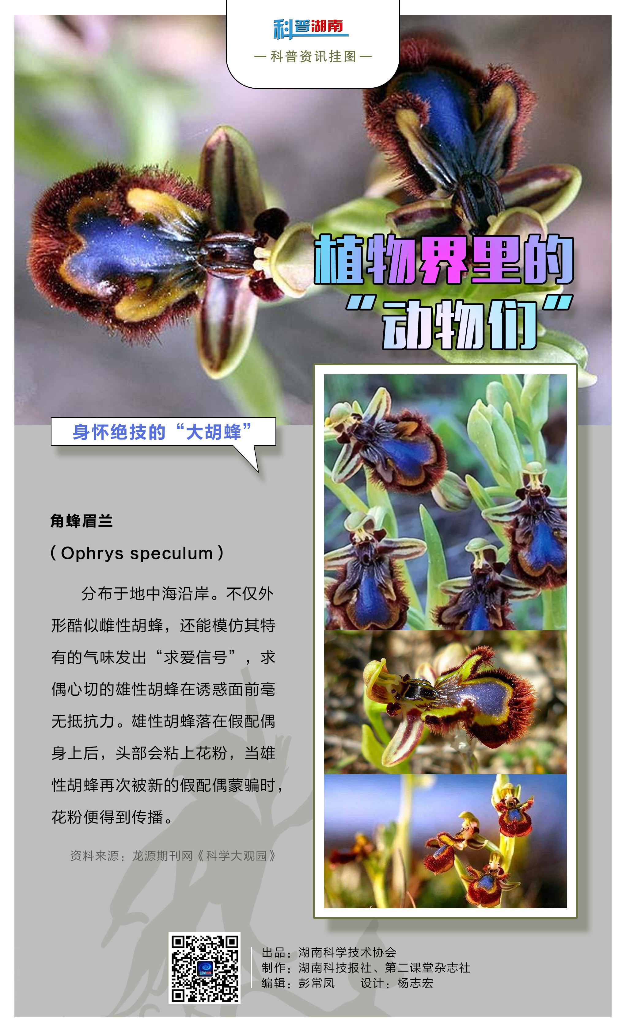 植物界里的“动物们”C.jpg