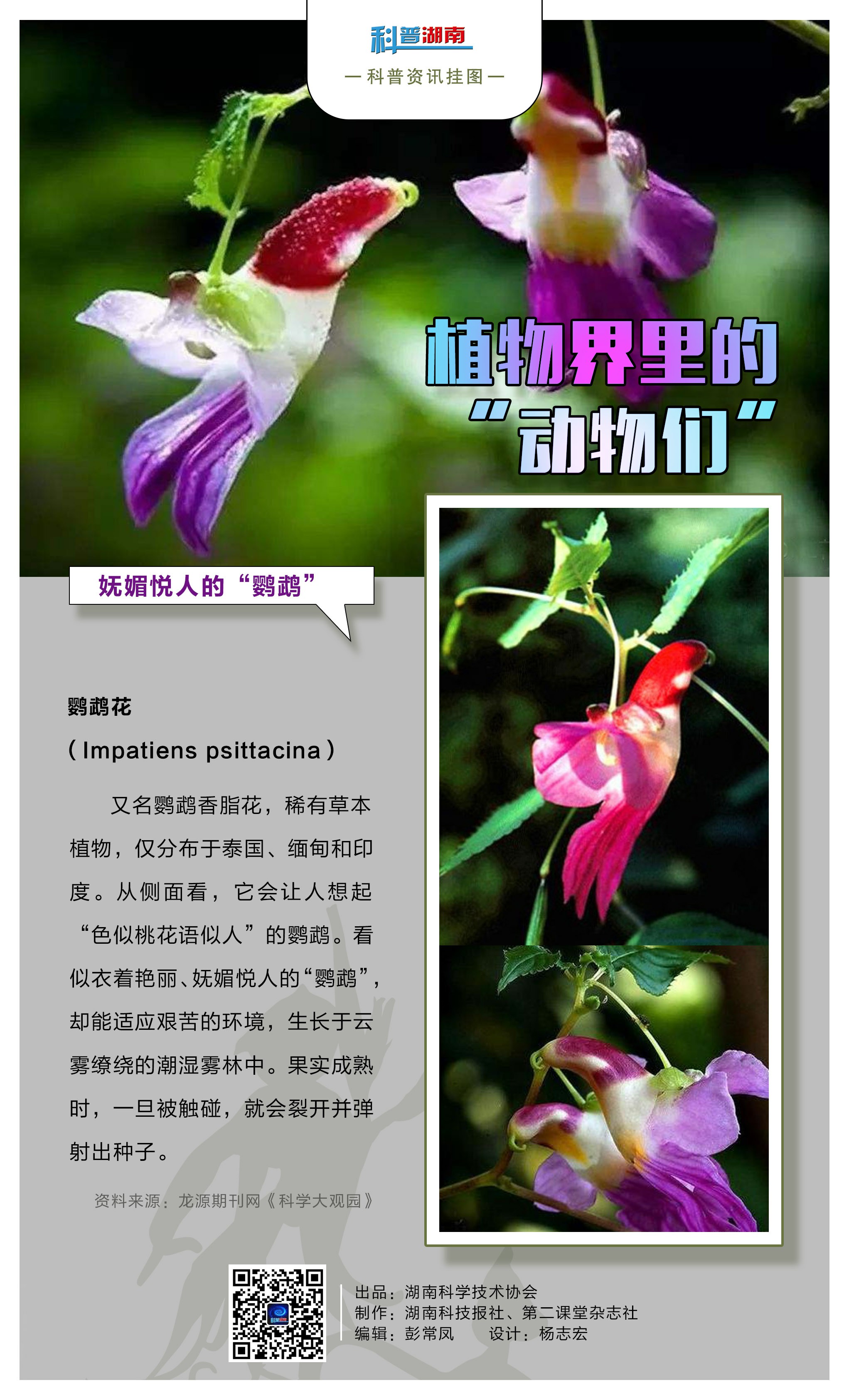 植物界里的“动物们”D.jpg