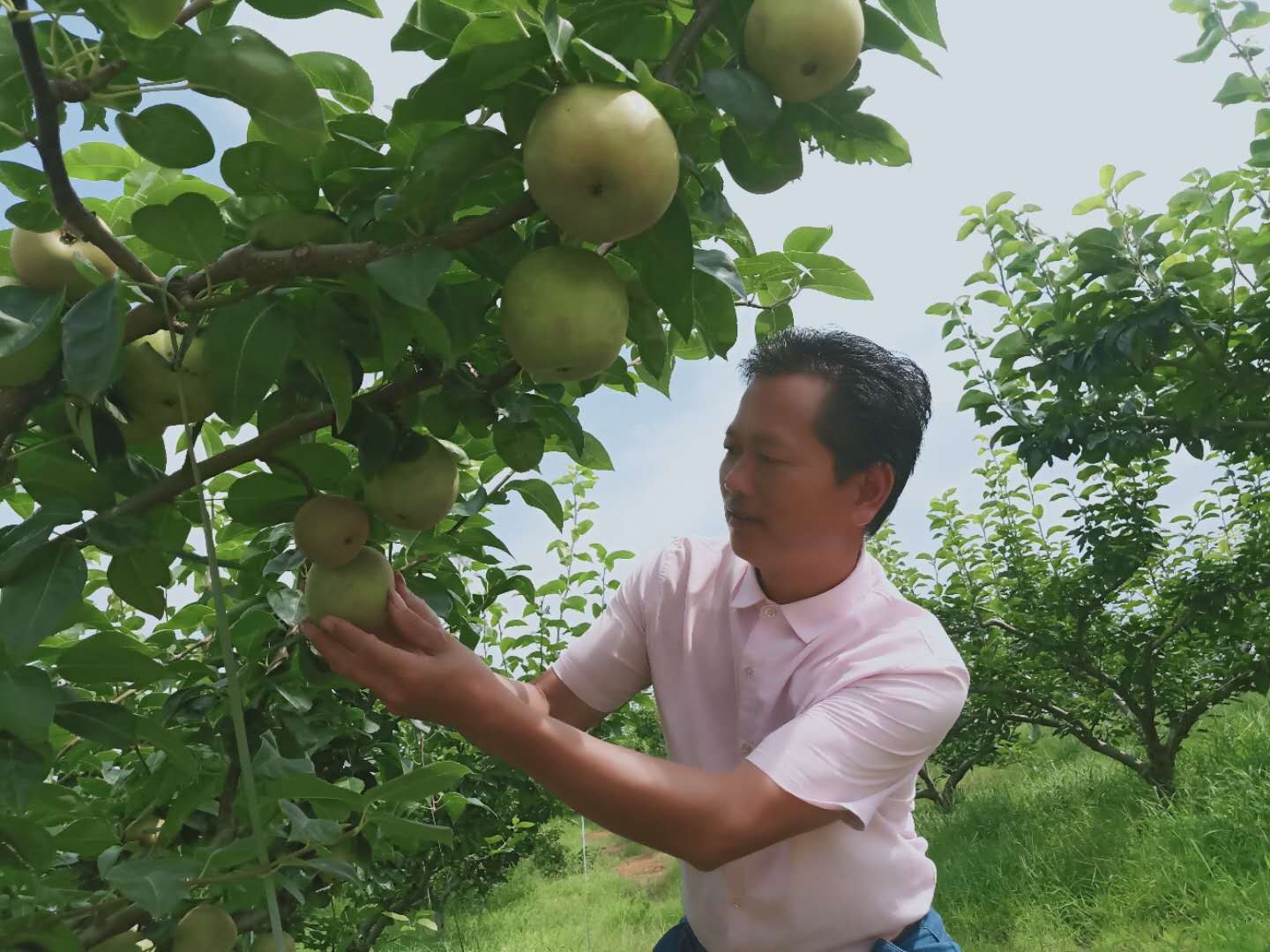 微信图片_20200629075854.jpg