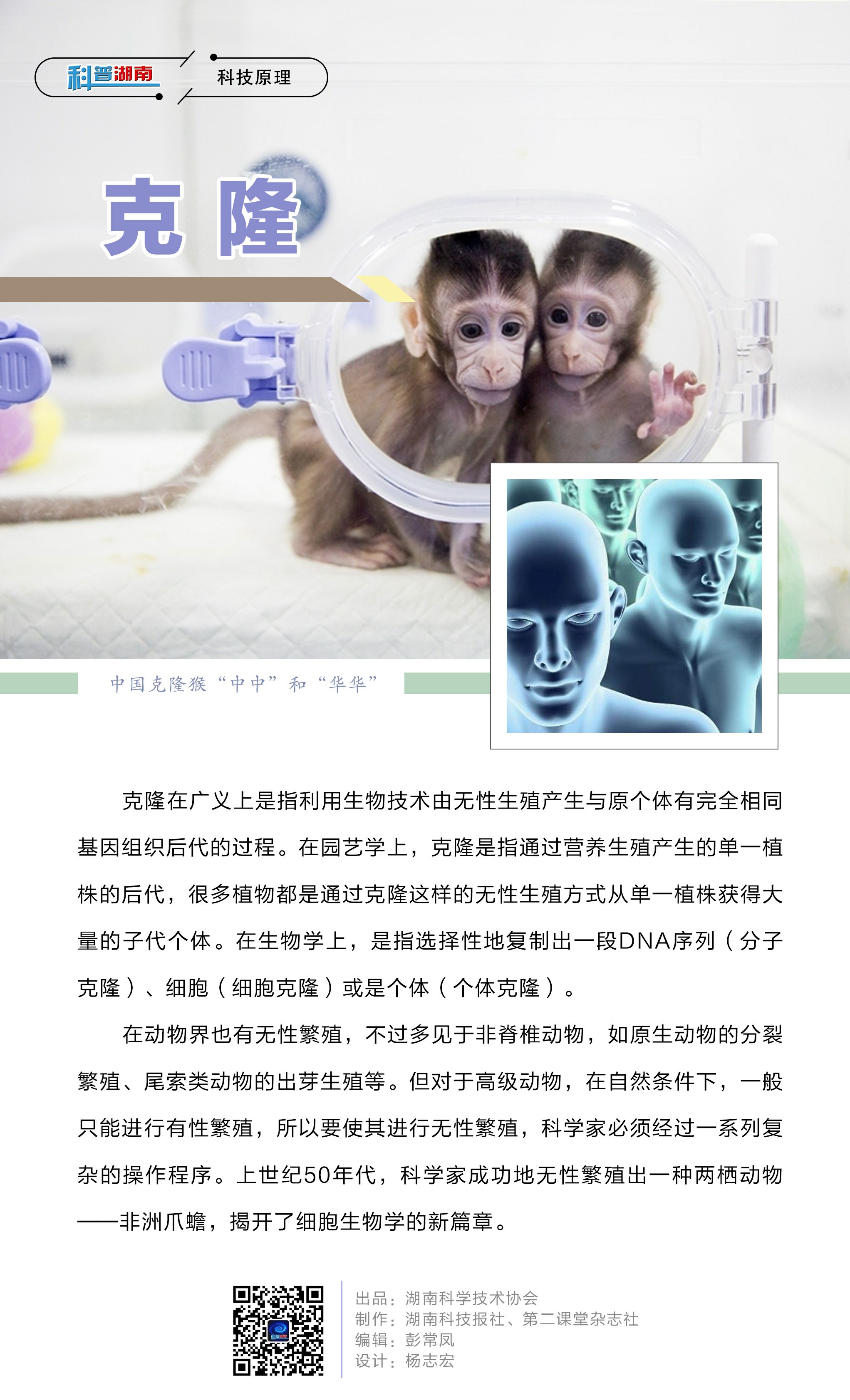 克  隆A.jpg