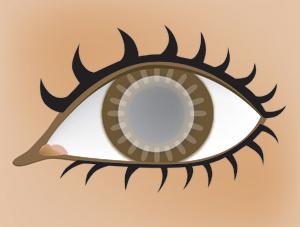 u=2936694645,1324681645&fm=26&gp=0.jpg