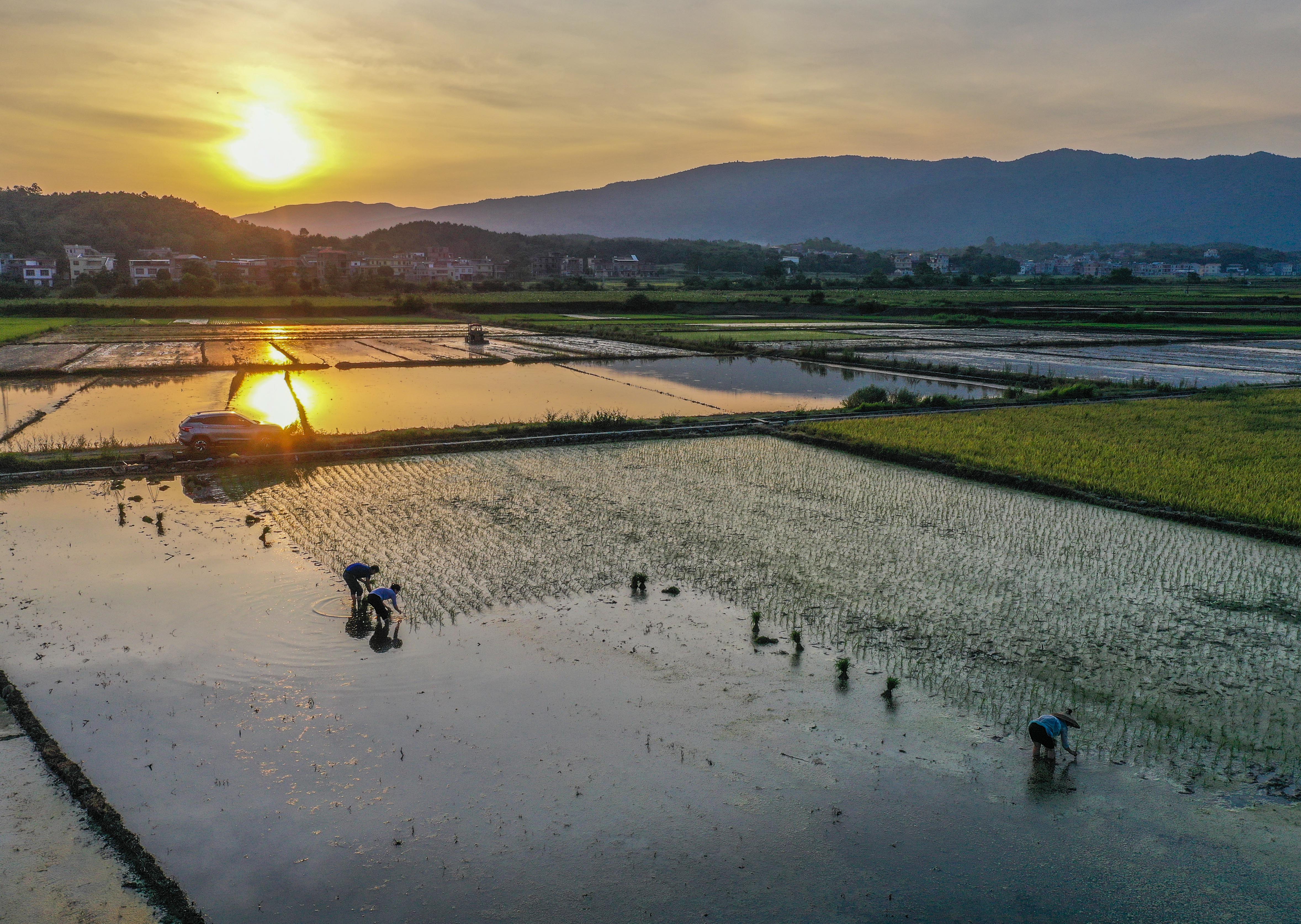DJI_074201.jpg