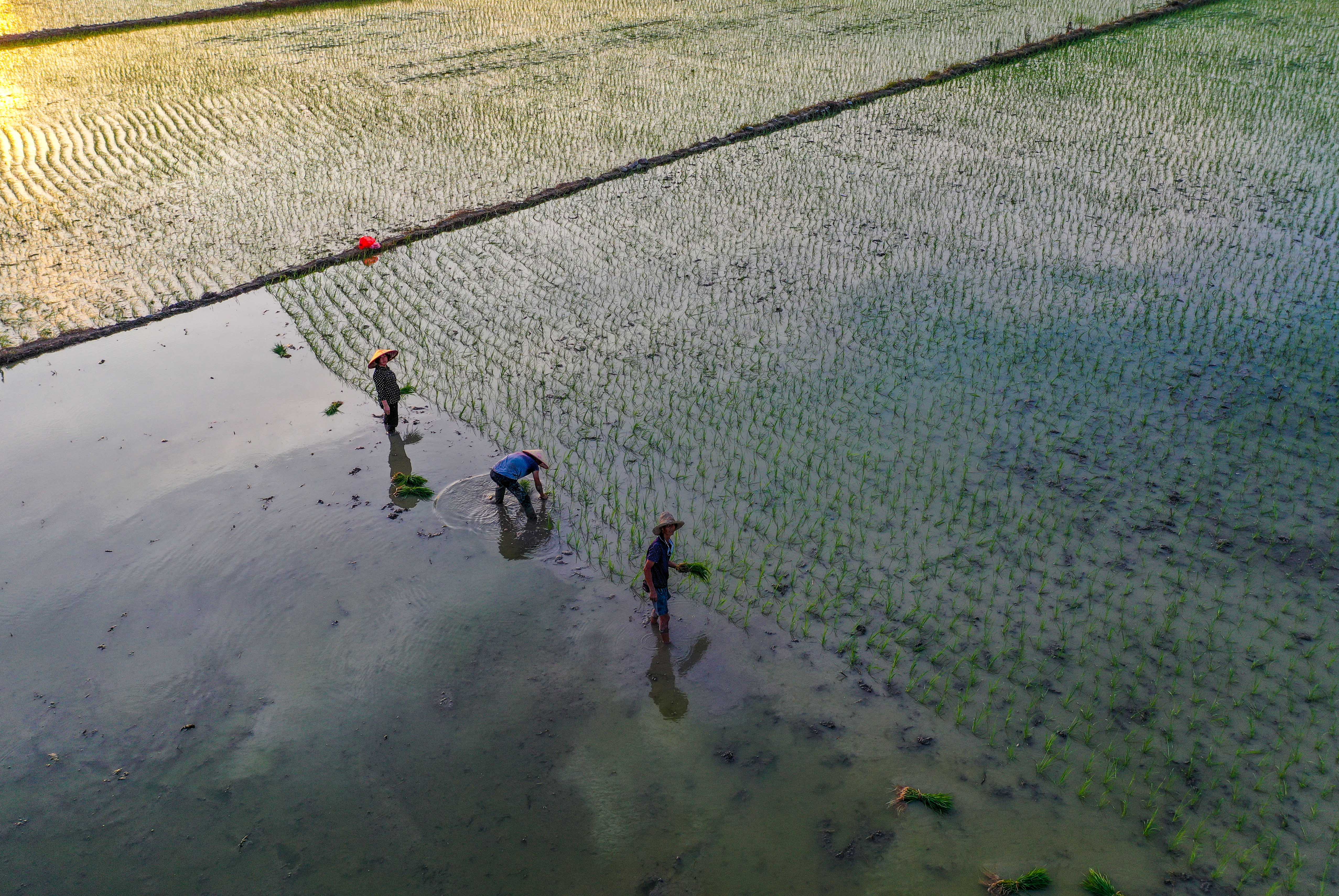 DJI_074801.jpg