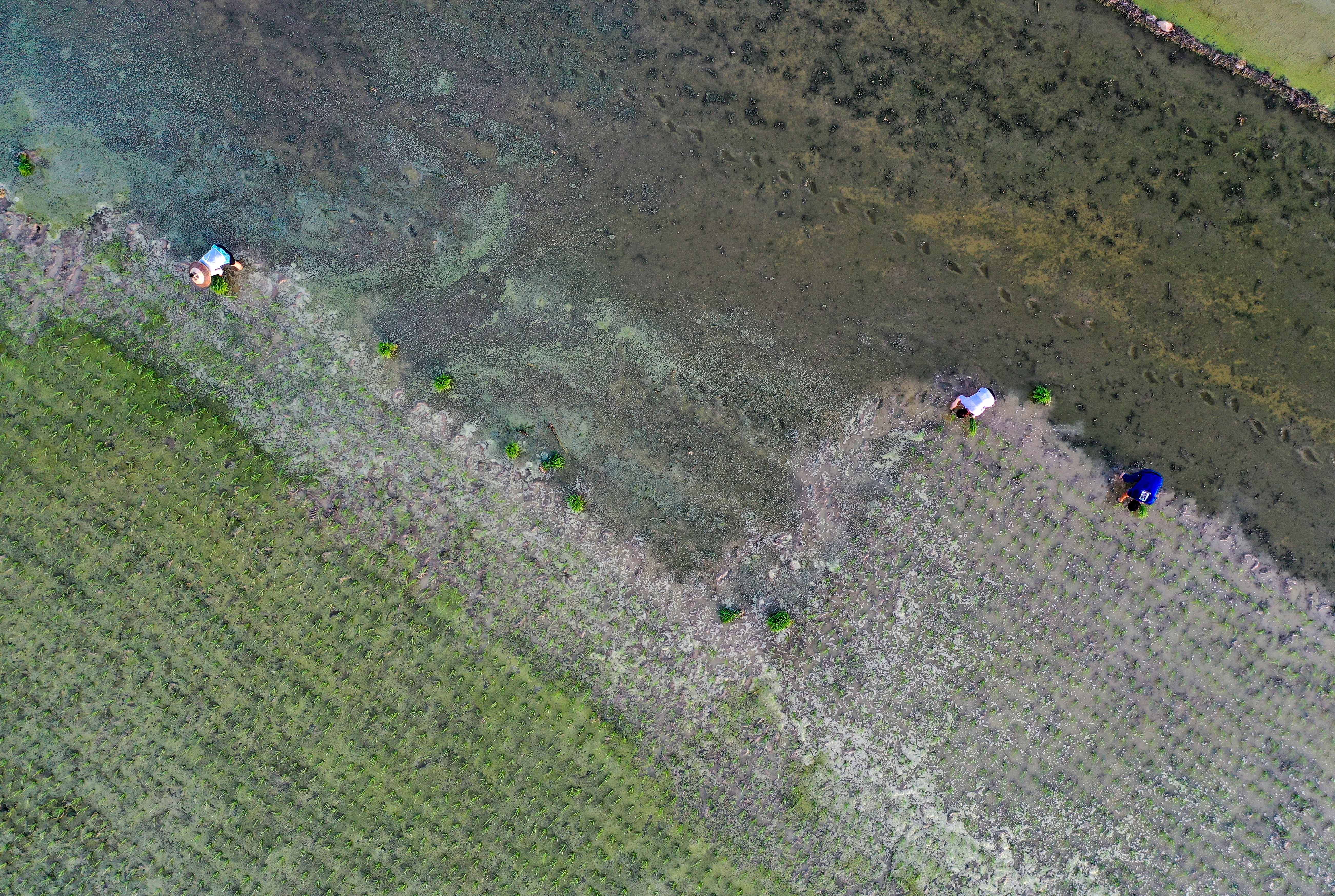 DJI_073901.jpg