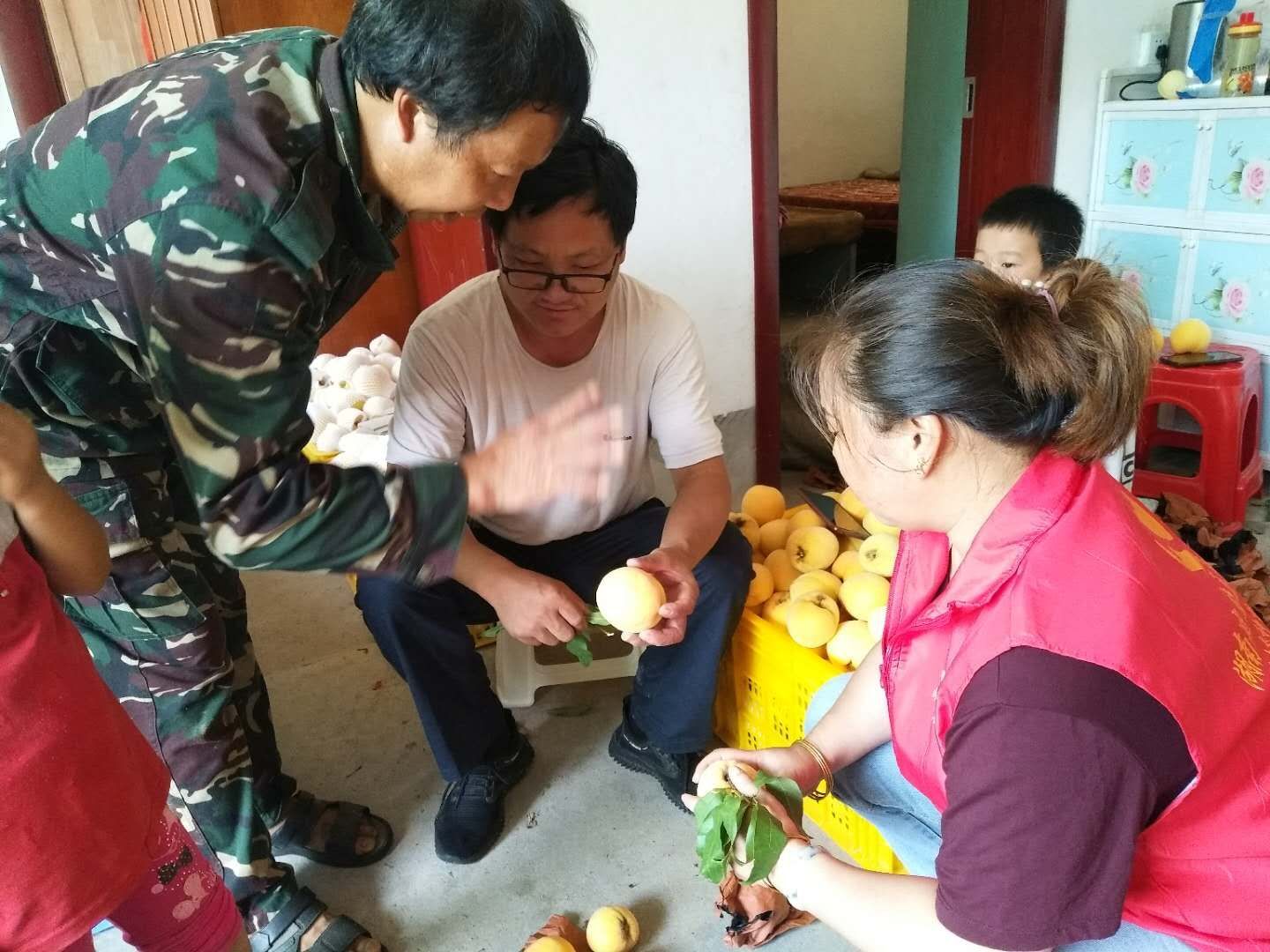 黄桃1.jpg