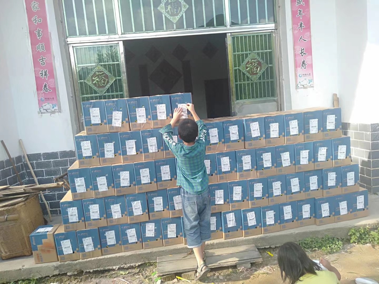 黄桃2.jpg