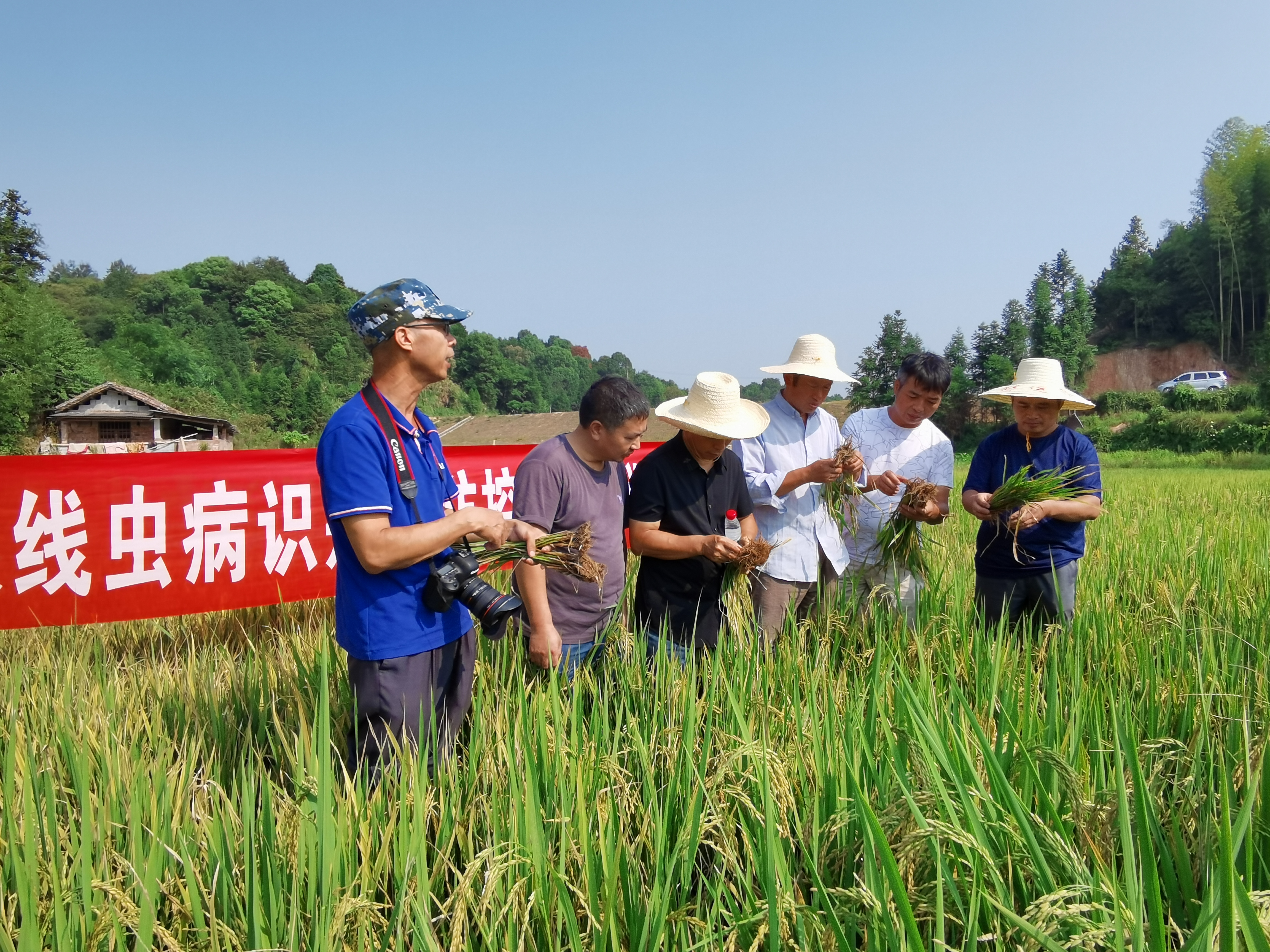 培训现场.jpg