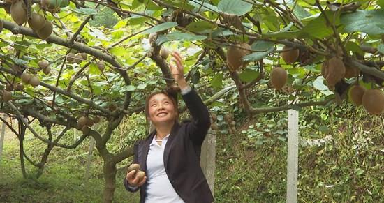 微信图片编辑_20200927125837.jpg