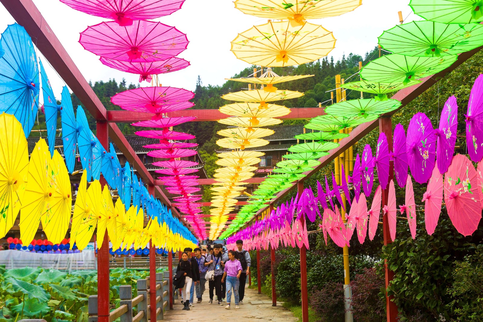 4730a3配图.jpg