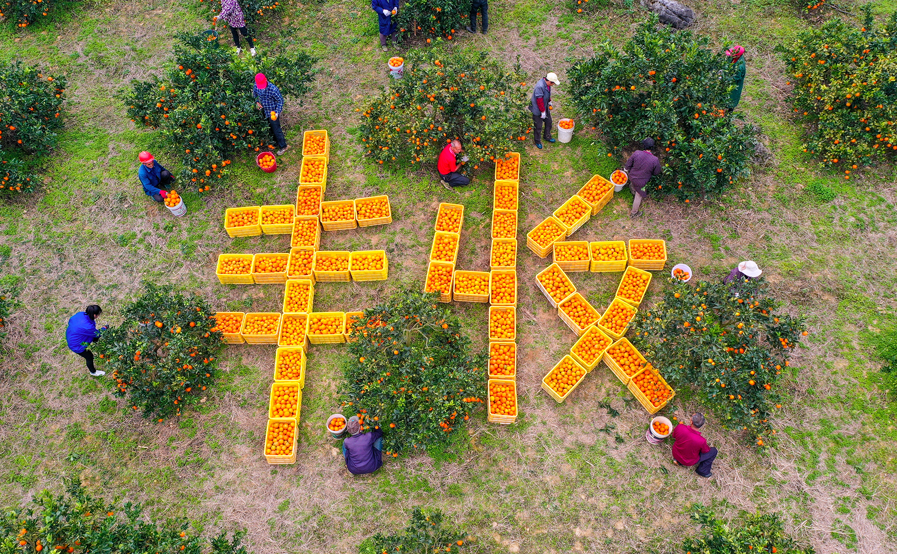 DJI_0151.JPG