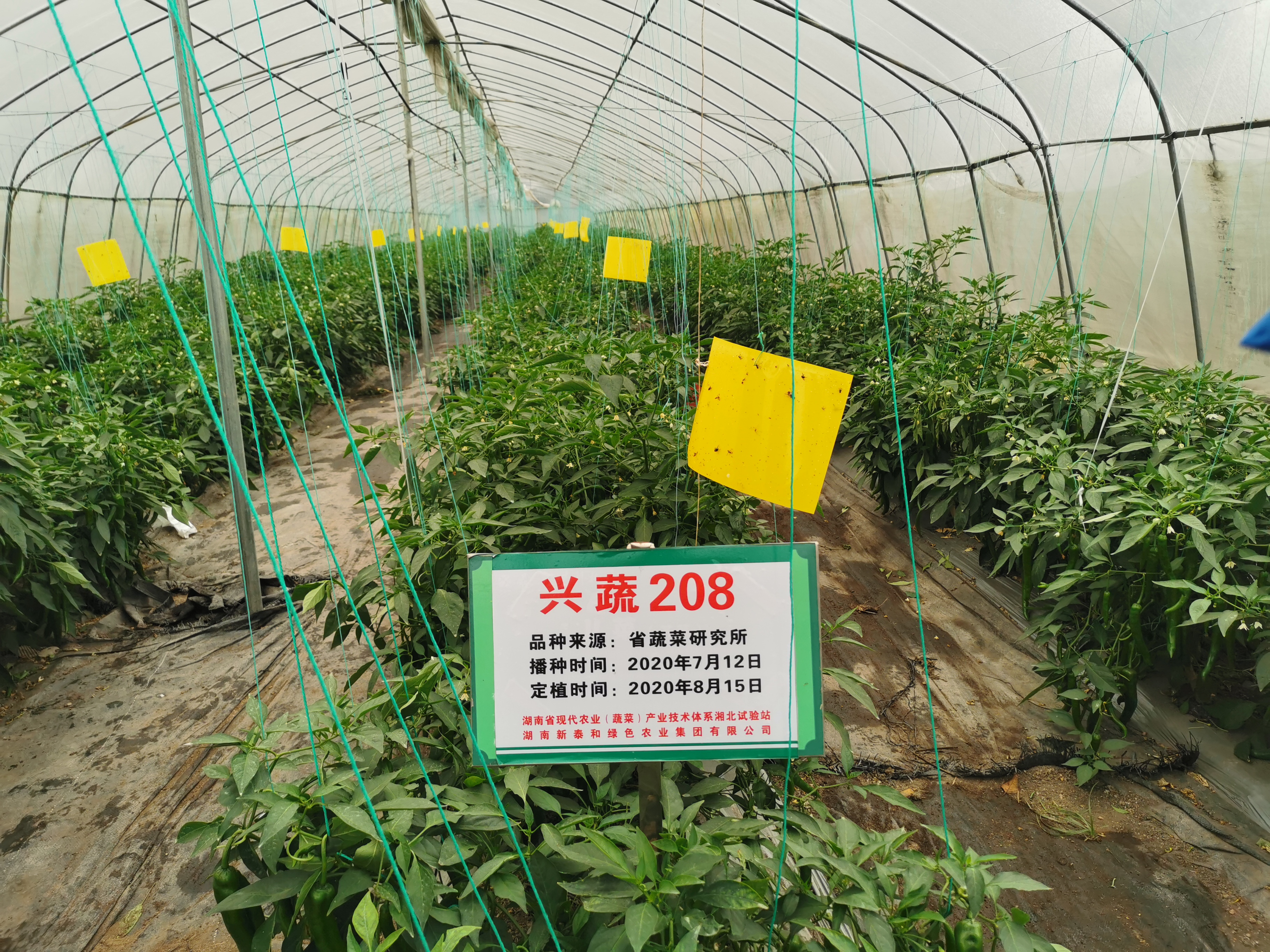 微信图片_20201120162417.jpg
