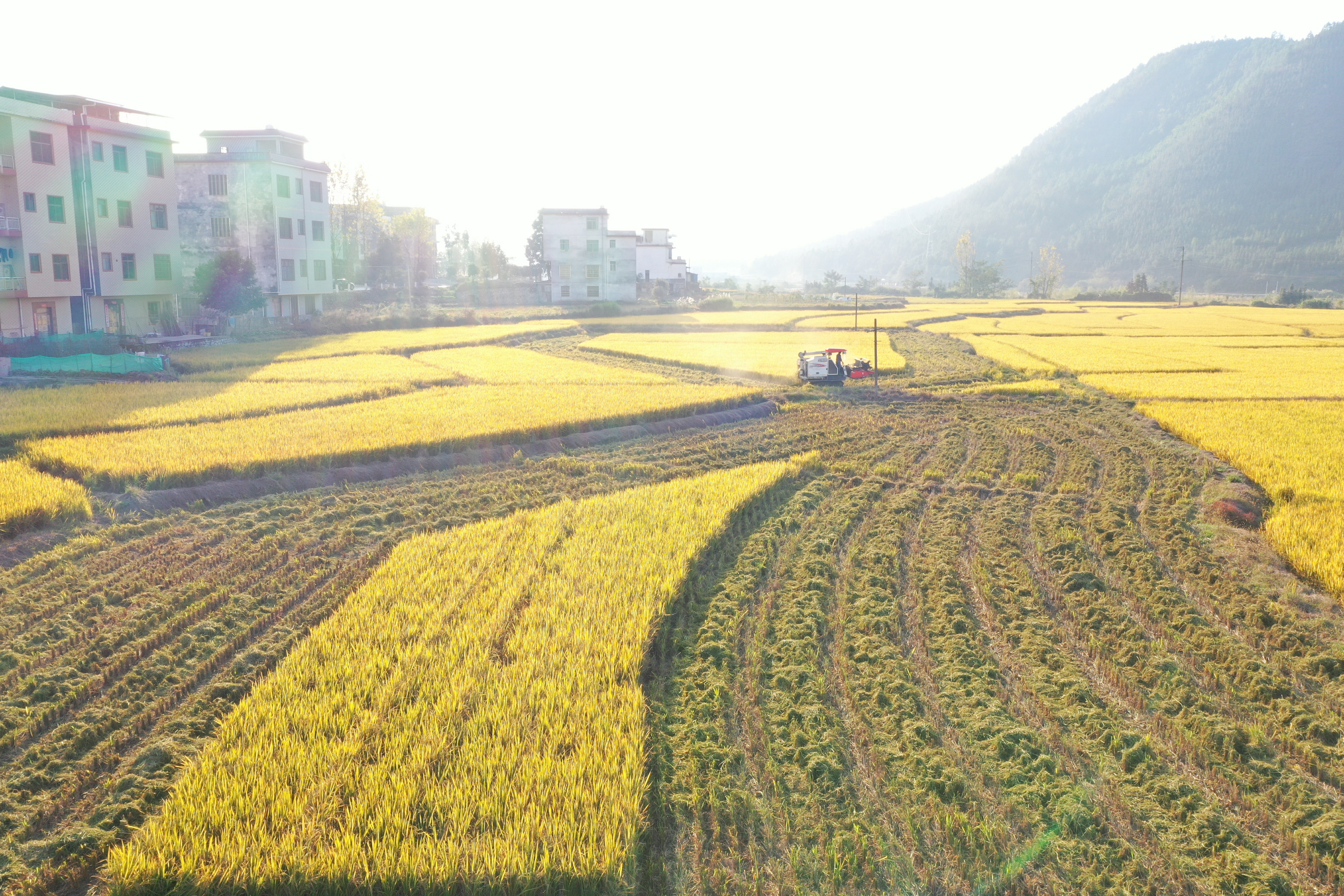 DJI_0689.jpg