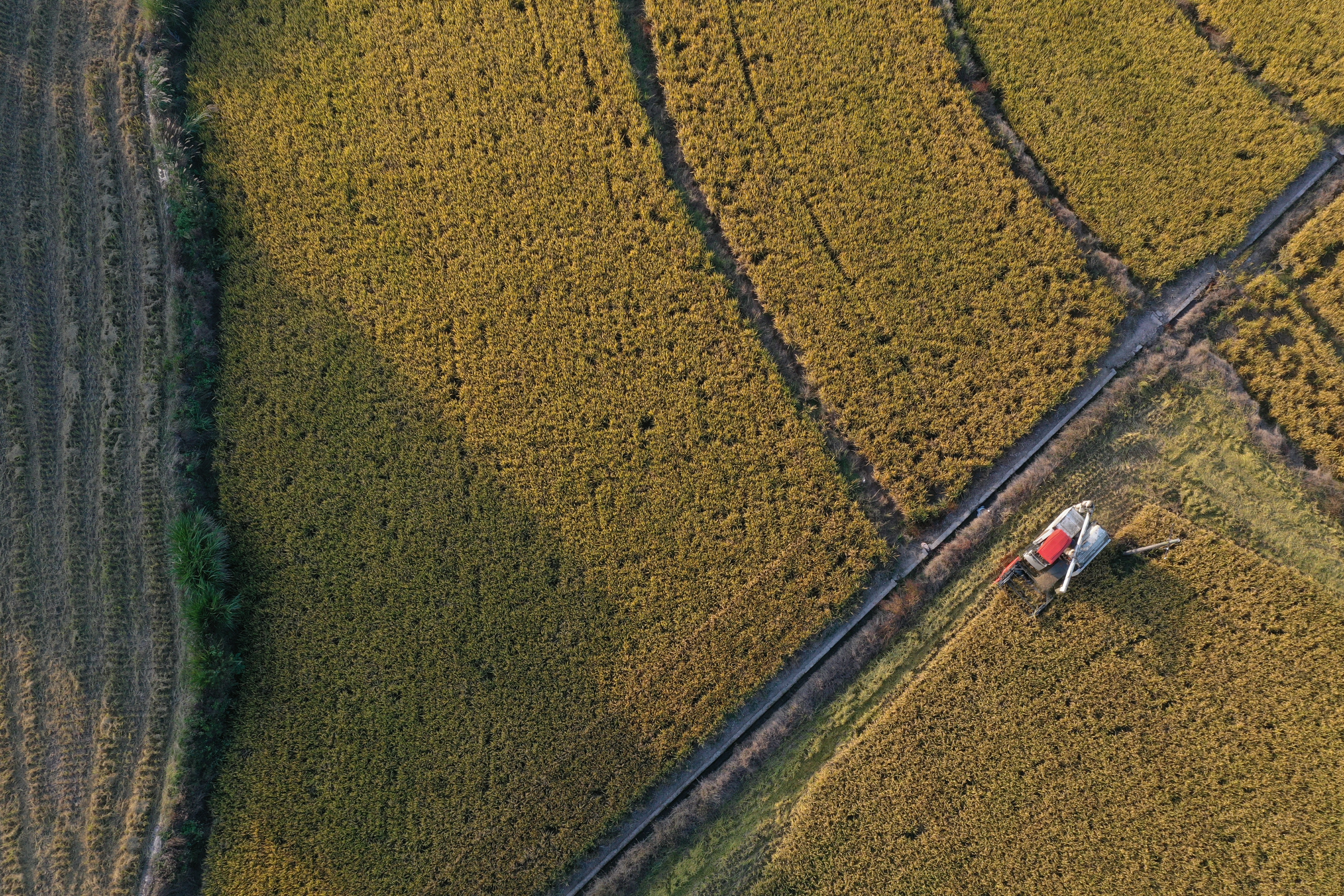 DJI_0623.jpg