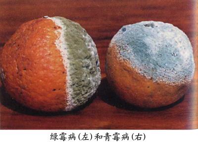 u=3094971086,92992823&fm=26&gp=0.jpg