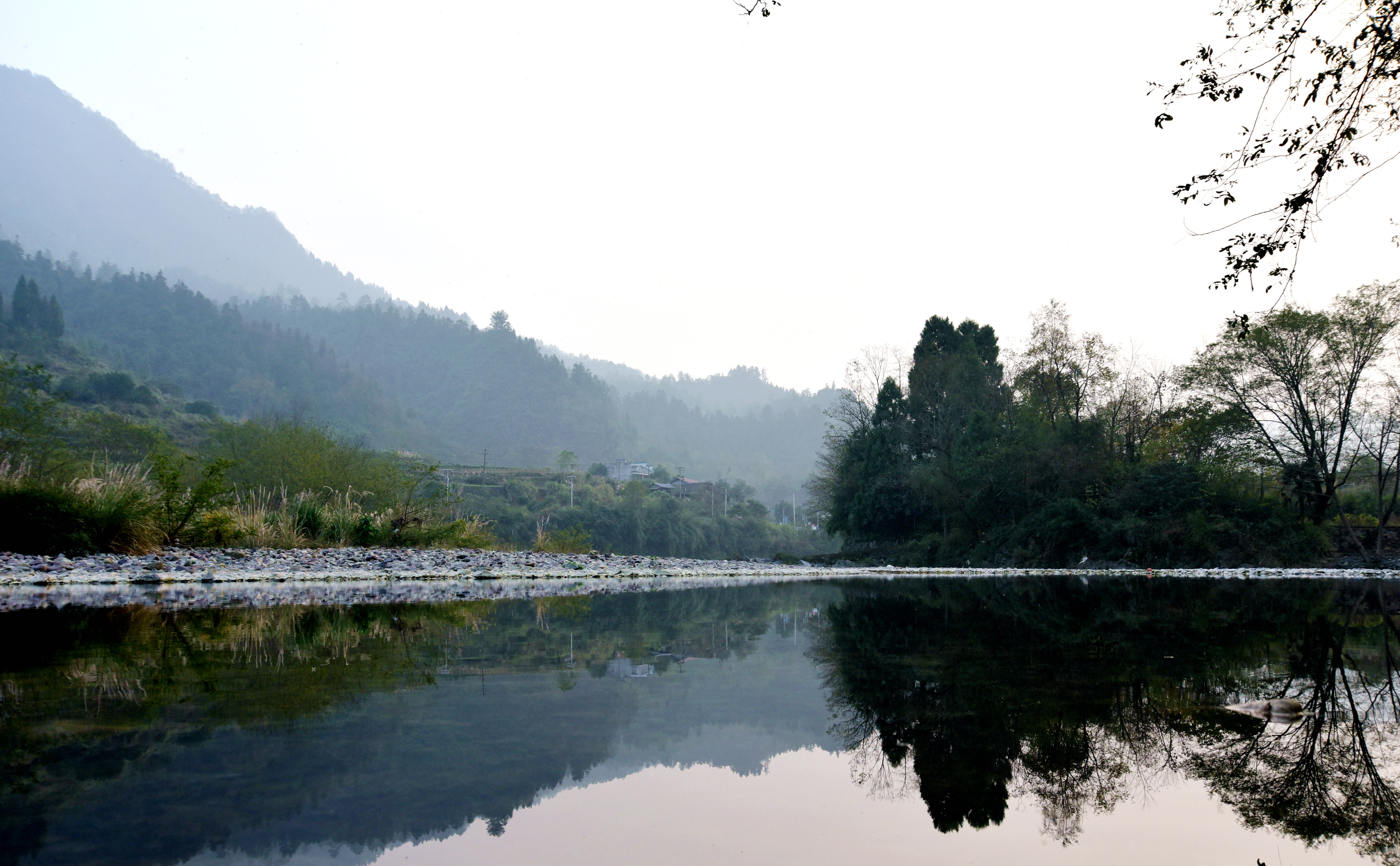 DSC_0196.JPG