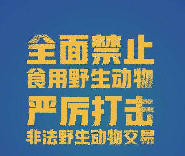 QQ截图20201229142802.jpg