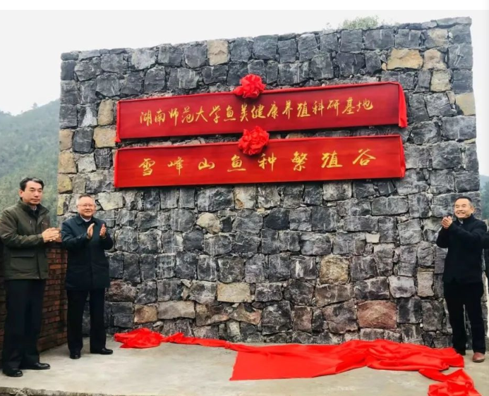 新武冈.png
