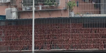 微信图片_20210119151839.gif
