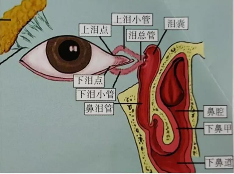 微信图片_20210121090104.jpg