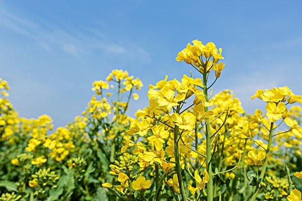 src=http___dpic.tiankong.com_7t_1n_QJ6417791724.jpg&refer=http___dpic.tiankong.jpg