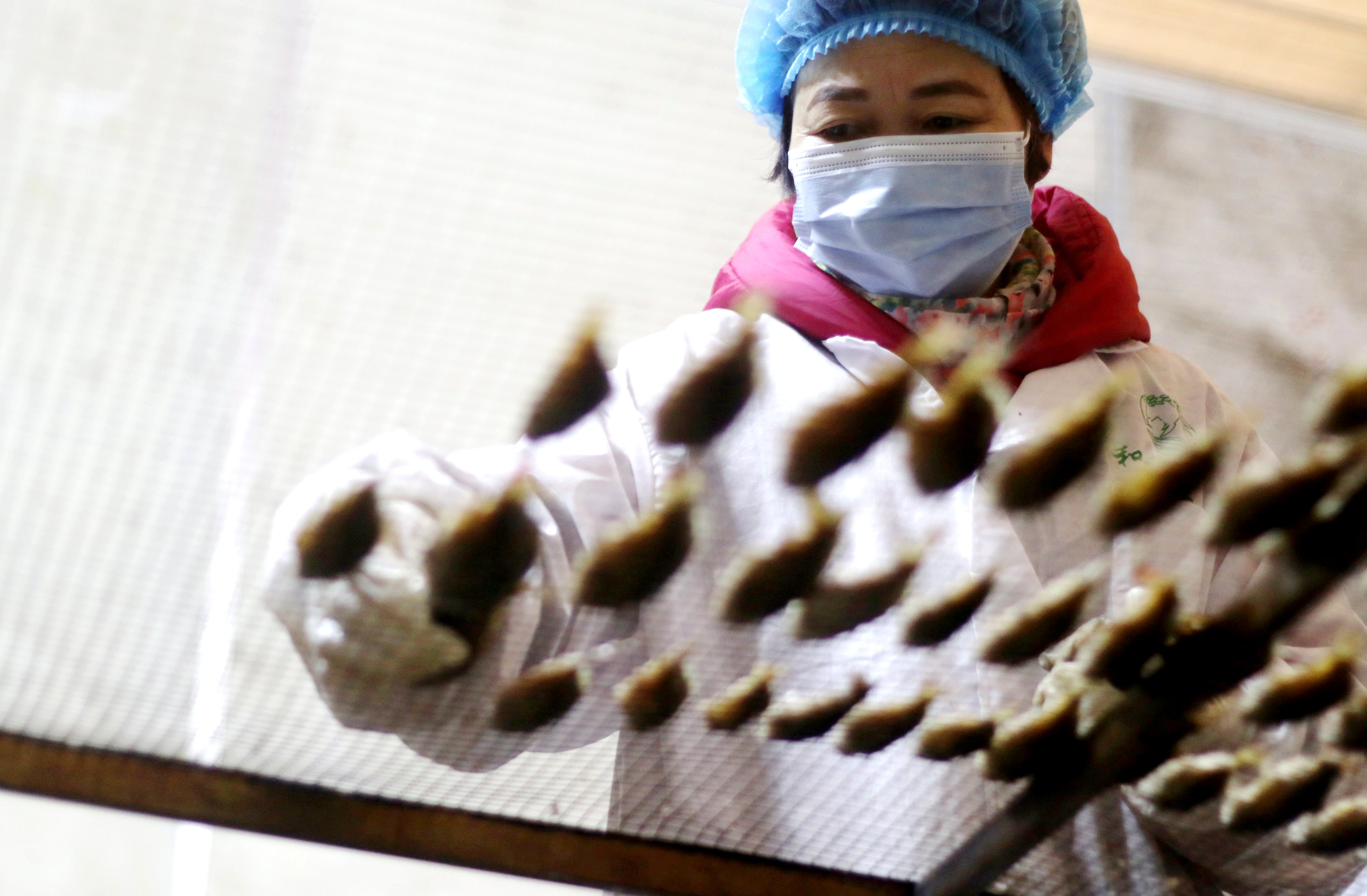 2021年1月28日，湖南省涟源市桥头河镇石狗村和裕圣丰养殖专业合作社，工人在把蒸煮好的鱼拣捡出准备烤干。  (1).JPG