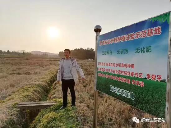 图五：隆冬时节，李贤录又来到他的稻田筹划来春的水稻生产.jpg
