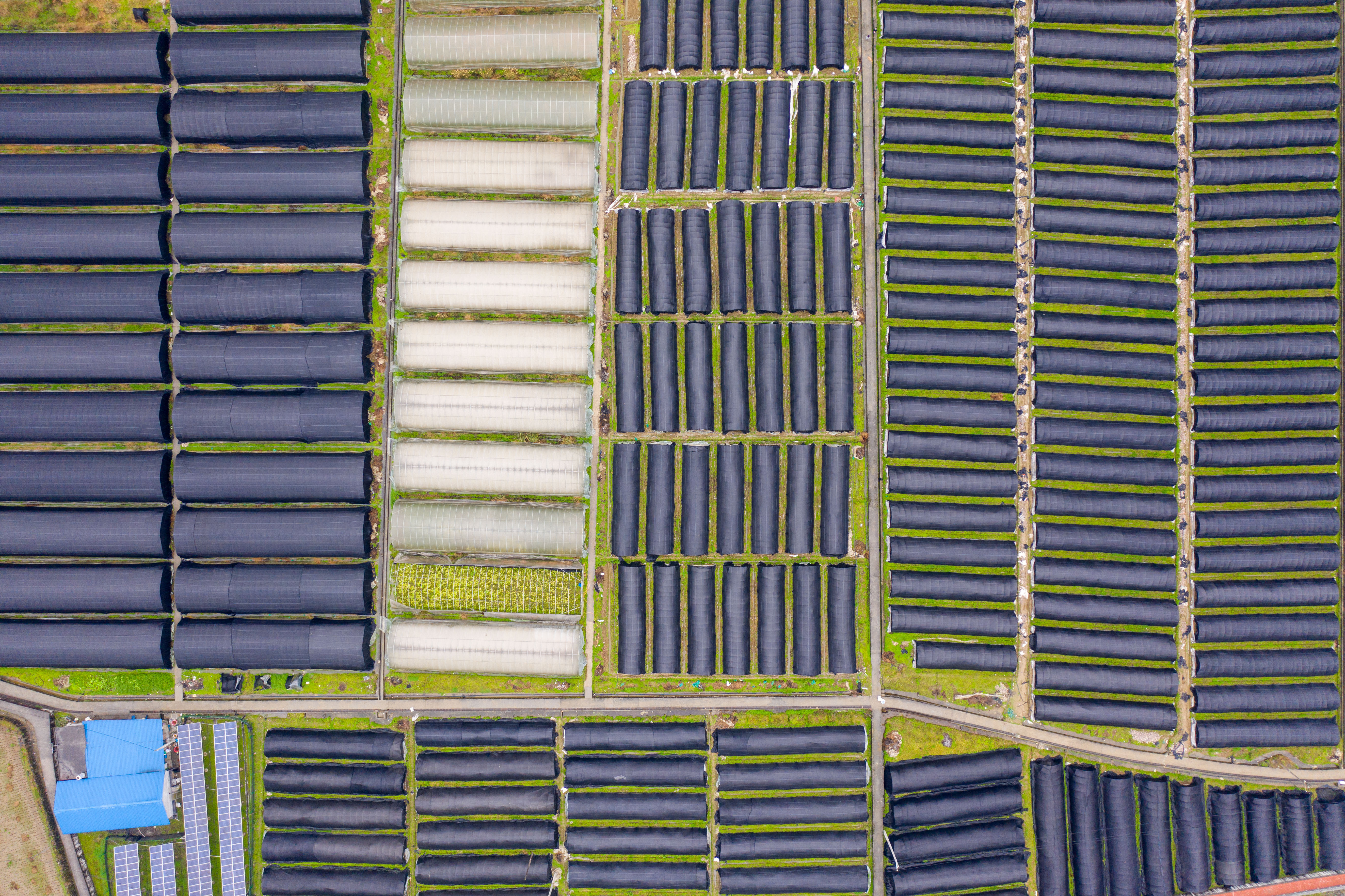 DJI_0987.jpg