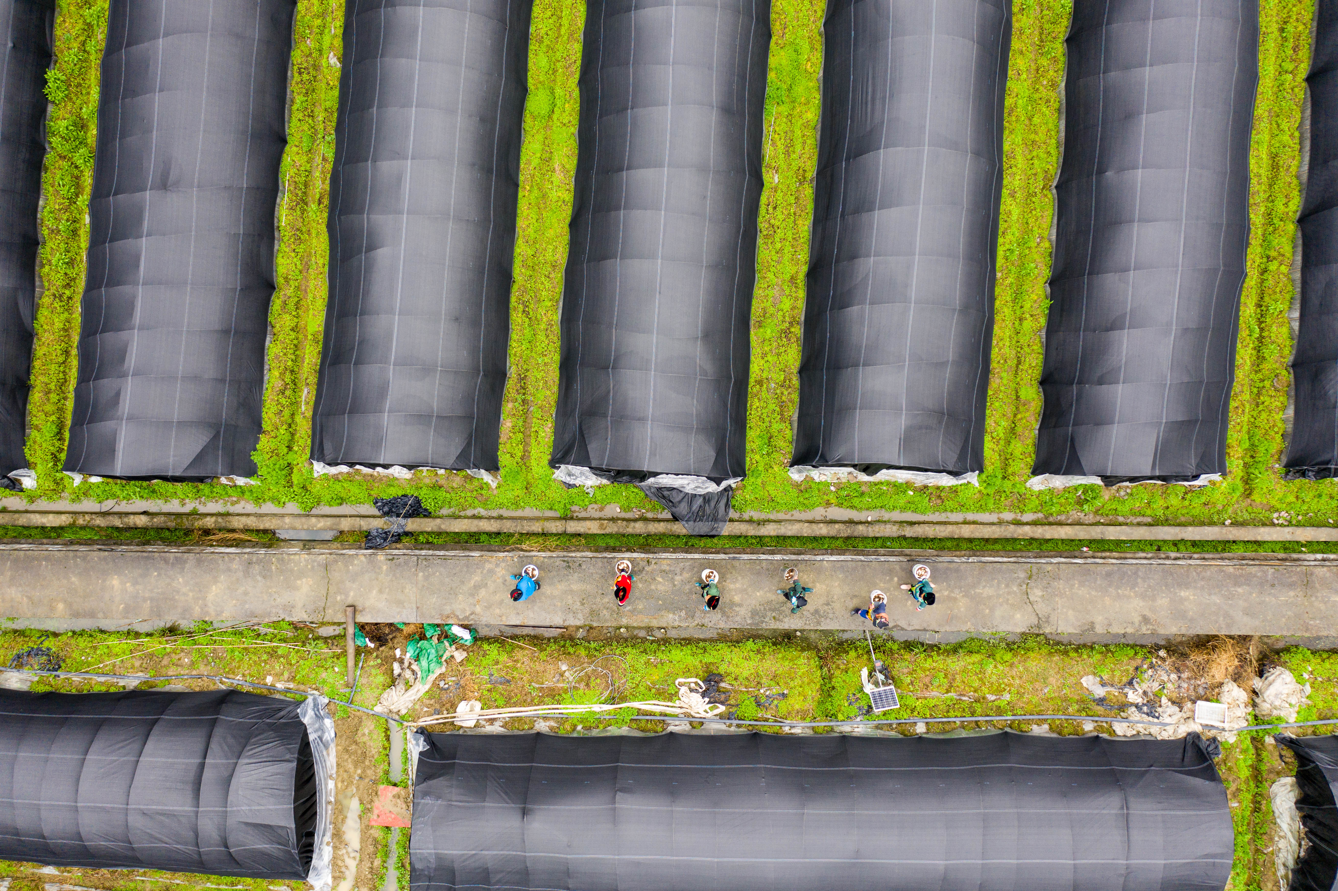DJI_0997.jpg