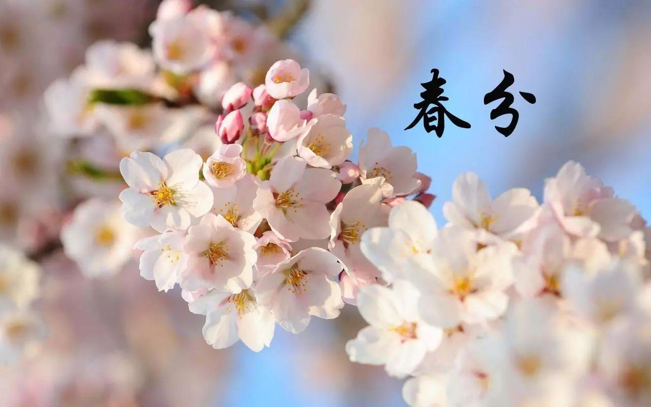 src=http%3A%2F%2Fw10.sanwen8.cn%2Fmmbiz_jpg%2FZgVh8pDczzGxNr5hC73jUn2AnPBcmyqLdOiaSvQ8v1eVVf6LfO8sicrJG5dqsO9PWVhfiaERQNqMgibsoaQV591Grw%2F0%3Fwx_fmt%3Djpeg&refer=http%3A%2F%2Fw10.sanwen8.jpg