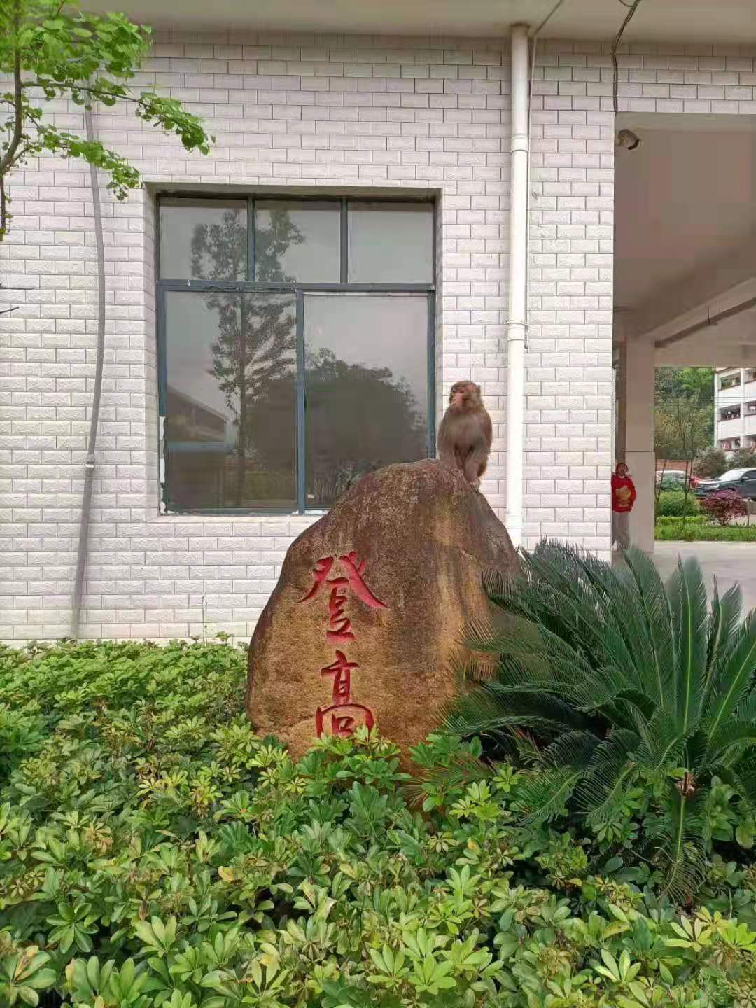微信图片_20210324111133.jpg