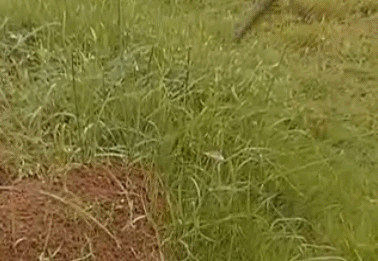微信图片_20210331154022.gif