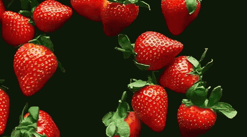 src=http___dingyue.nosdn.127.net_65aBYxki57rCOJThJpV8jAL3SWYy1NUZiz=ZhFhipS5bC1526619314392.gif&refer=http___dingyue.nosdn.127.gif