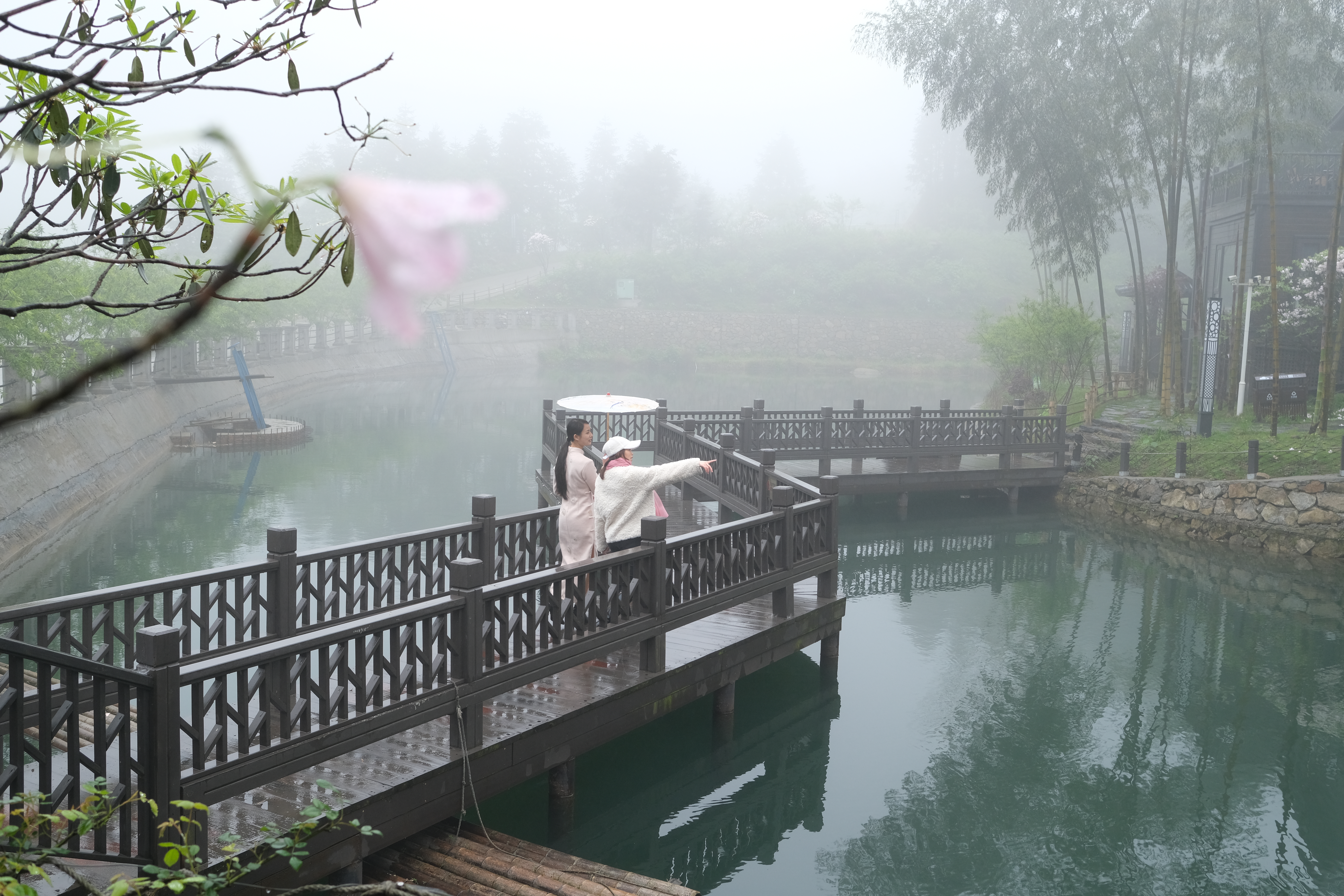 DSCF2318.JPG