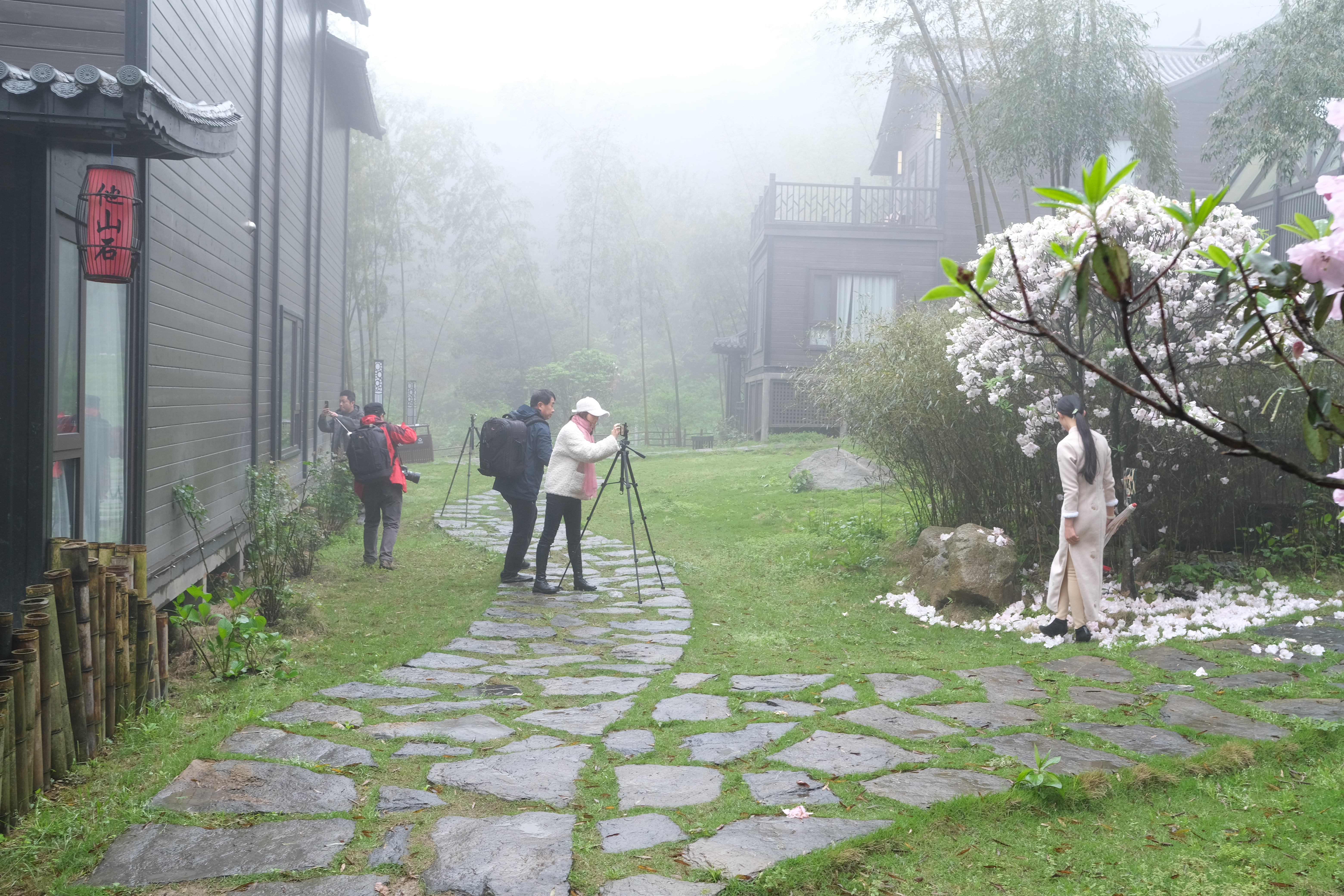 DSCF2370.JPG