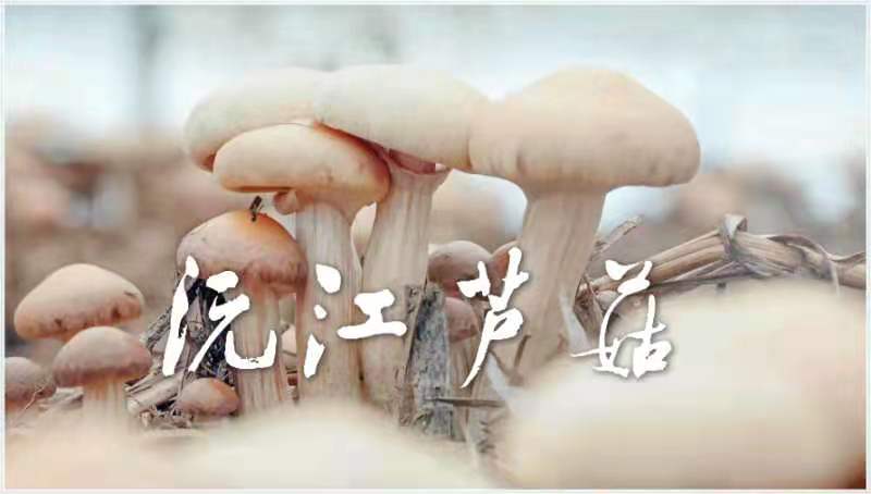 微信图片_20210413100839.jpg