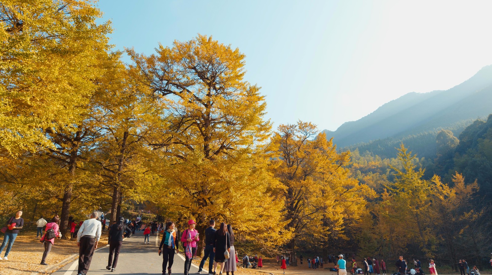 双牌桐子坳旅游 吴一粟拍摄.jpg